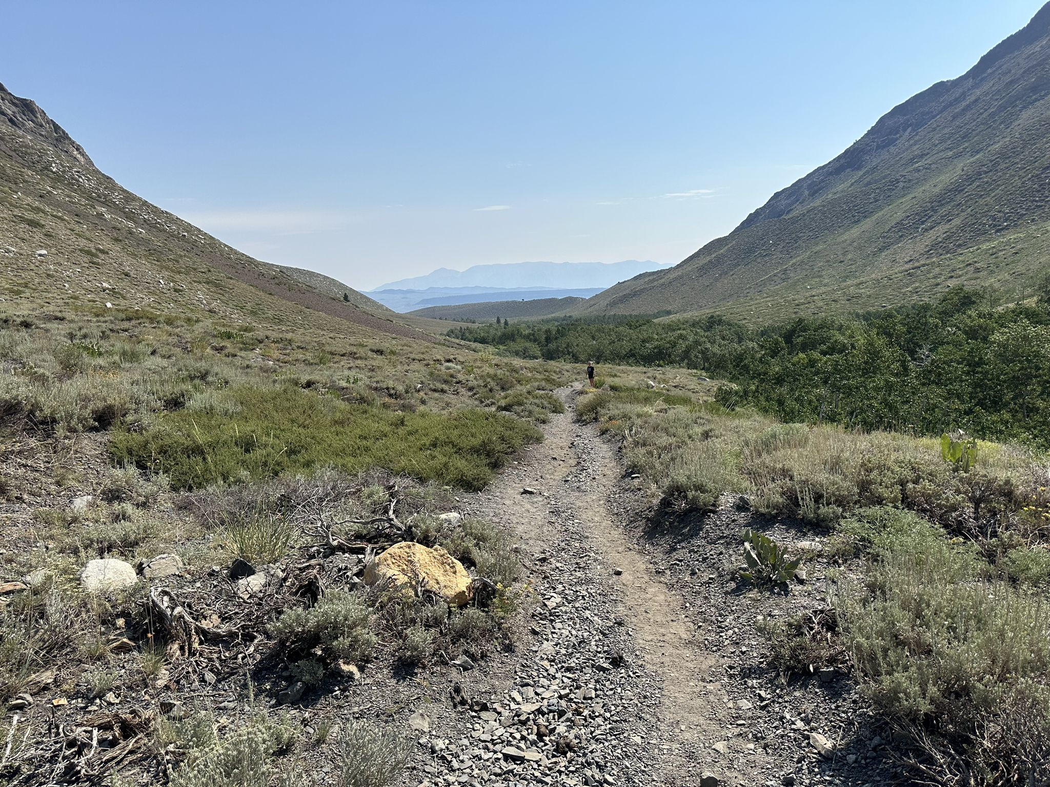 A dirt trail winding through a dry, shrubby mountain valley with a distant hiker. - McGee Creek Trail