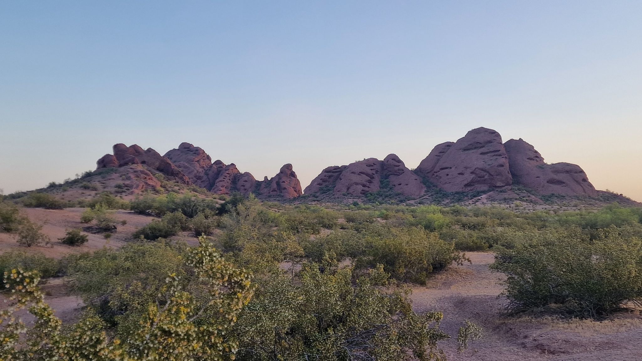 Rocky desert mountains and shrubs under a soft evening sky. - Double Butte Loop Trail