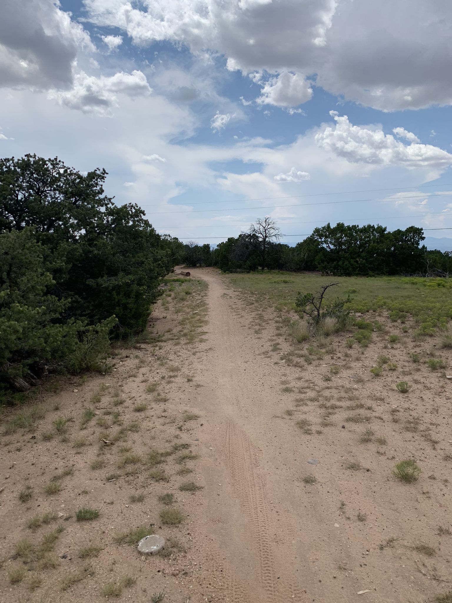 A narrow dirt path winds through dry, sparse landscape under a cloudy sky. - La Tierra East Loop