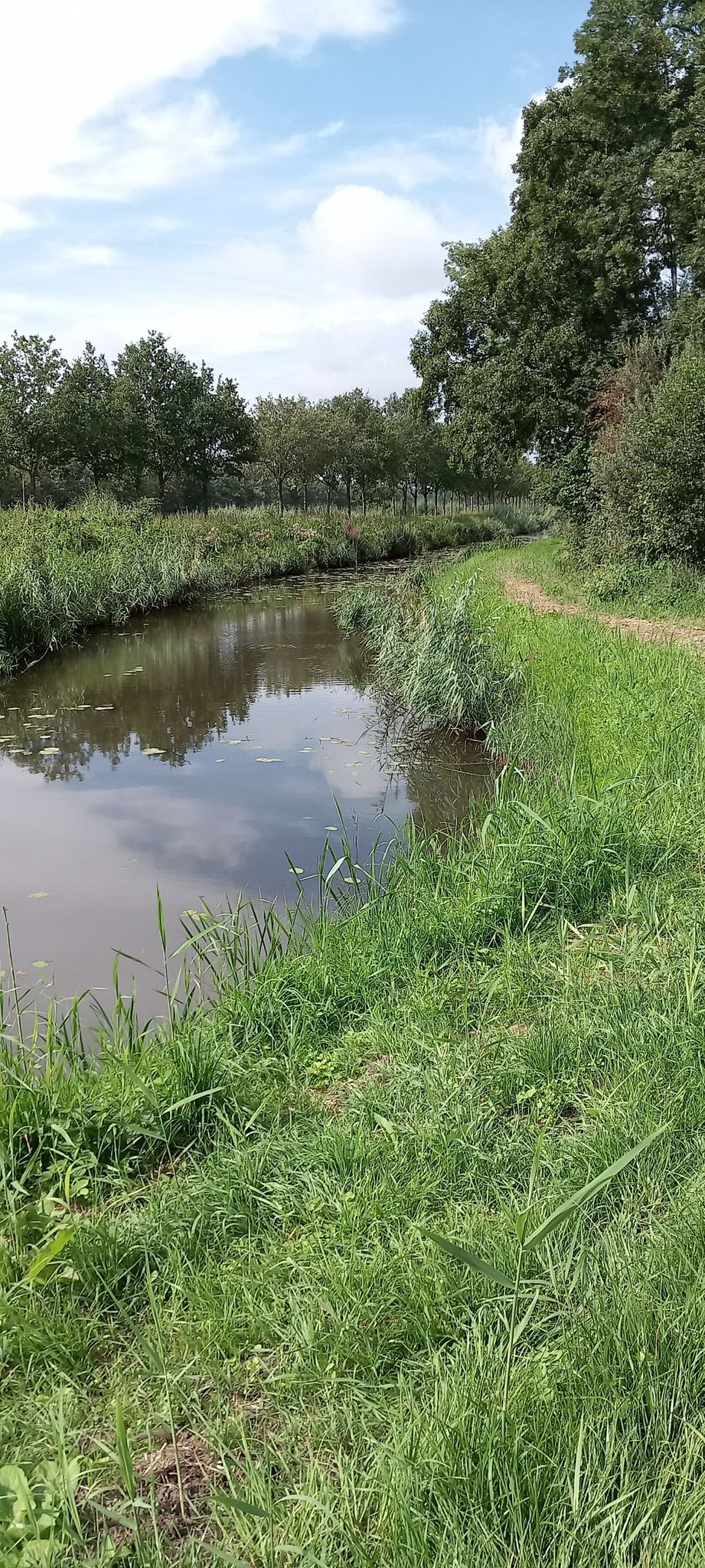 de Regge