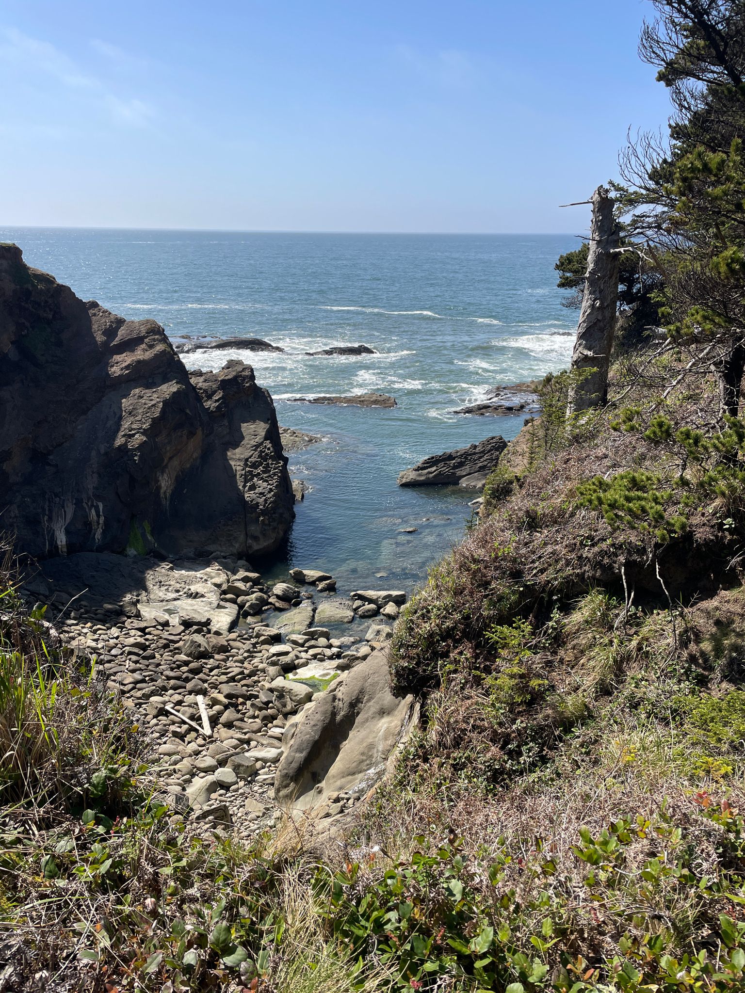 Sunny view of a rocky coastal cove with clear blue ocean water. - Shore Acres Loop Trail