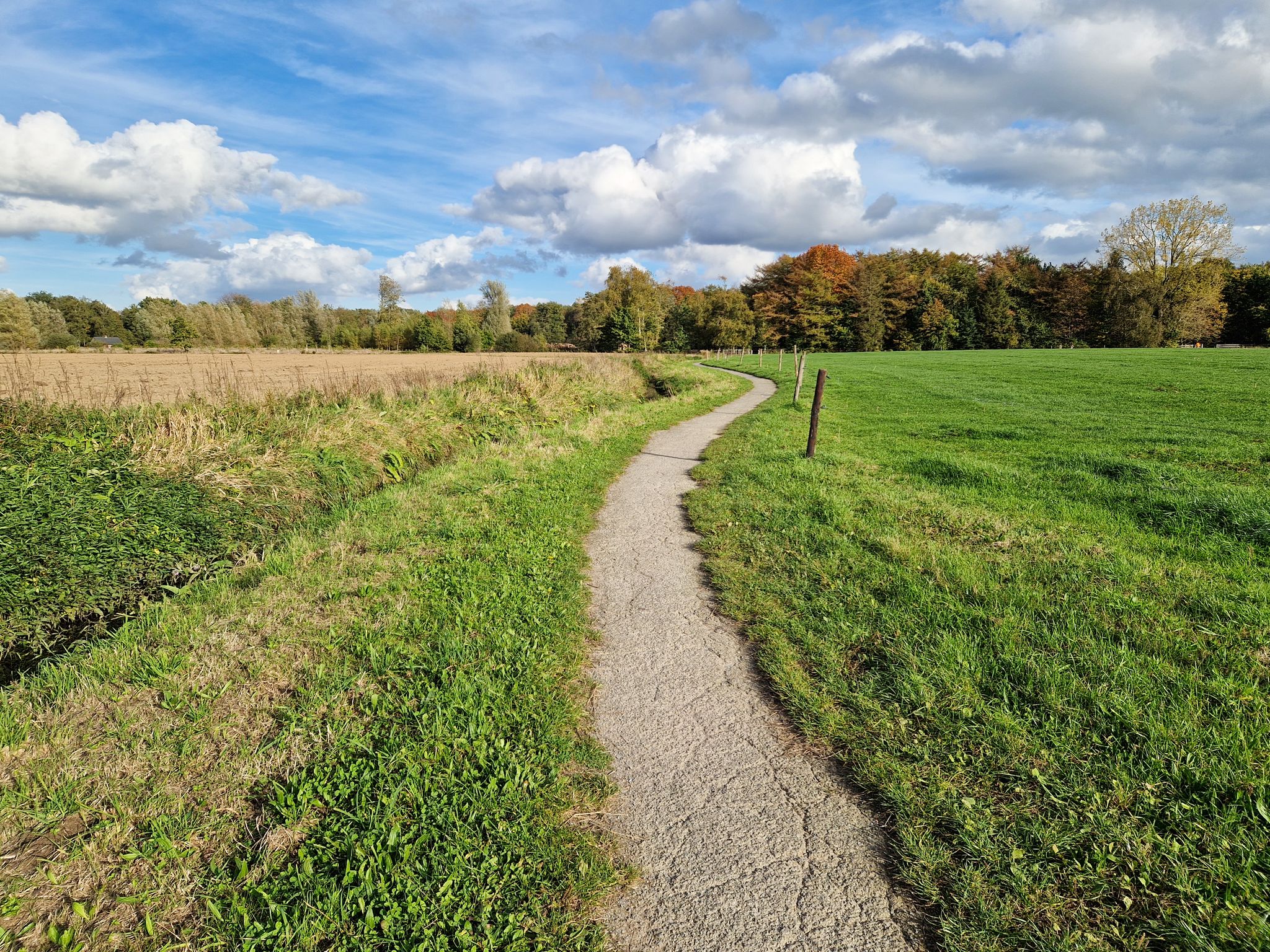 Op het verhard pad langs de Belselebeek