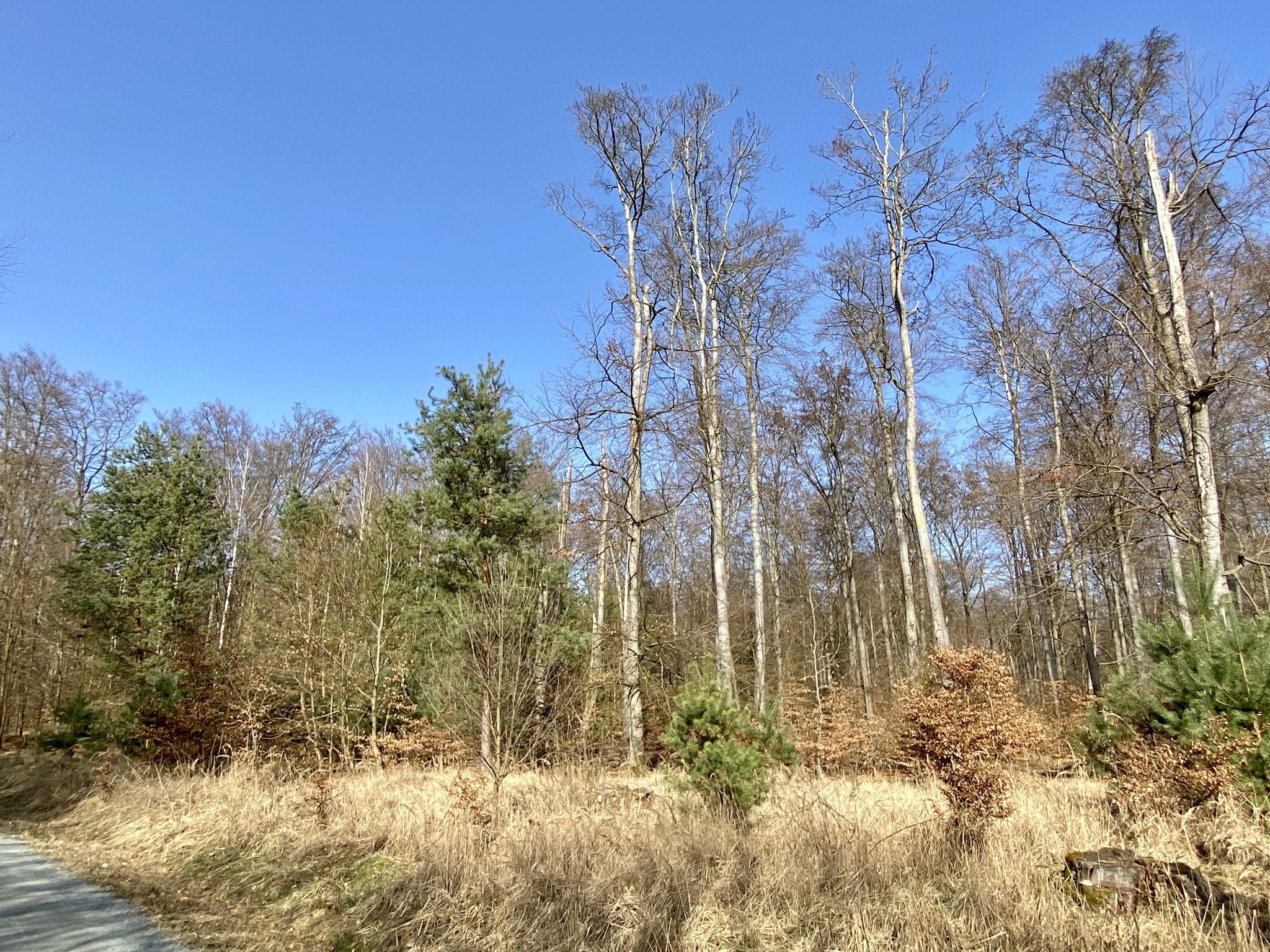 Richtung Offenbach
