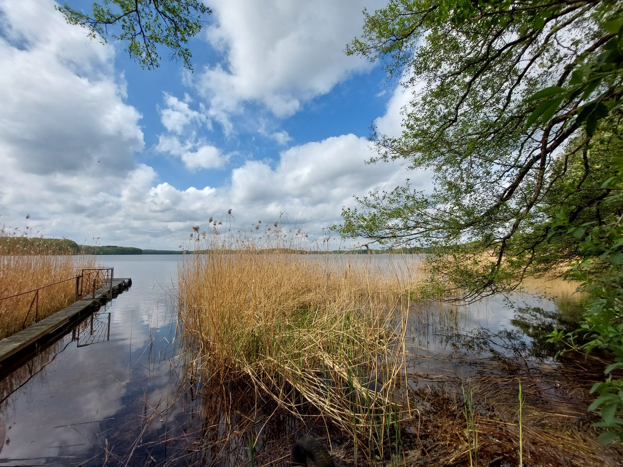 Idylle am Großen Wünsdorfer See