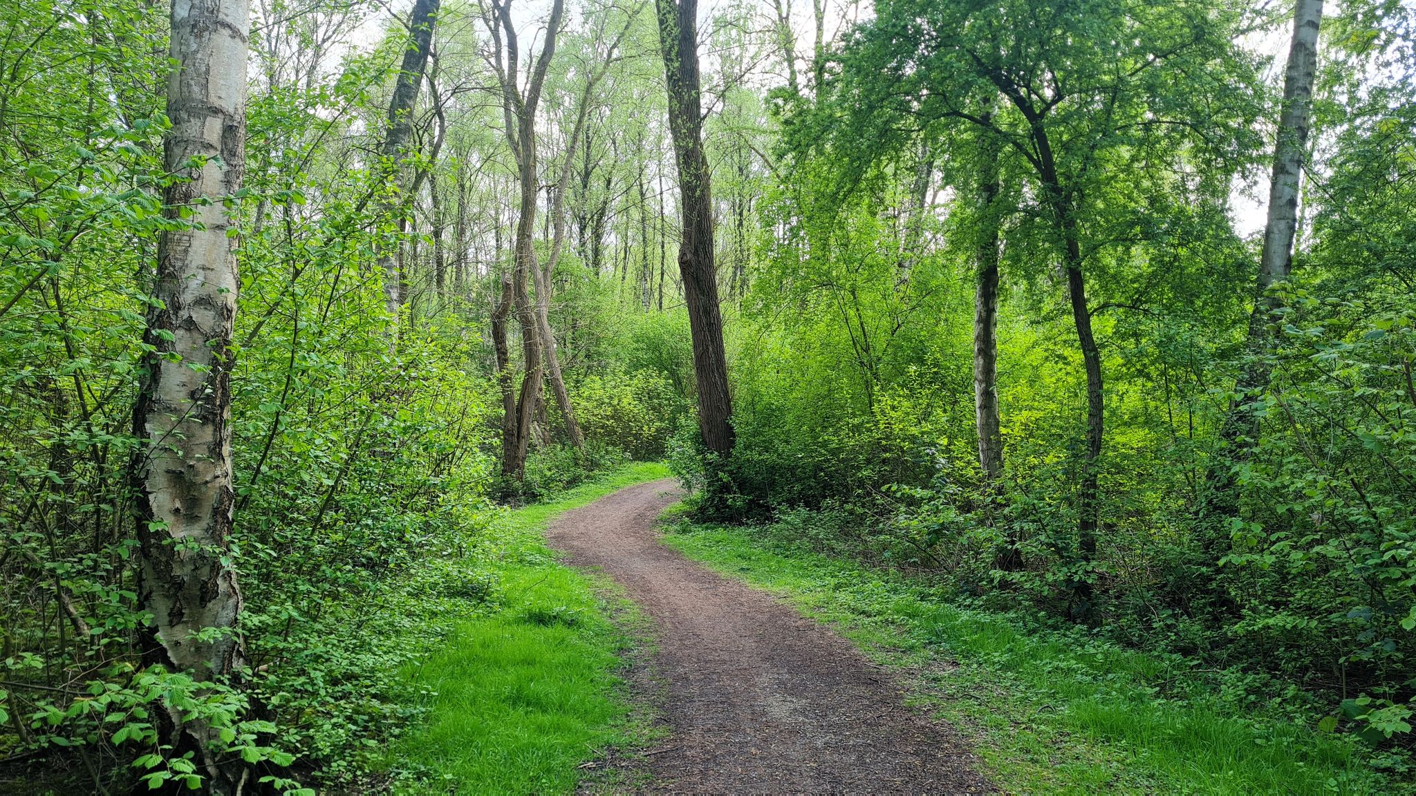 Radweg über den Hallo in Schonnebeck