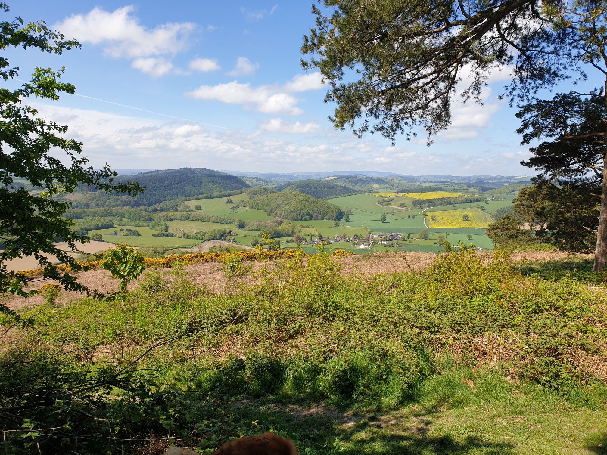 Hatton Hill Common View