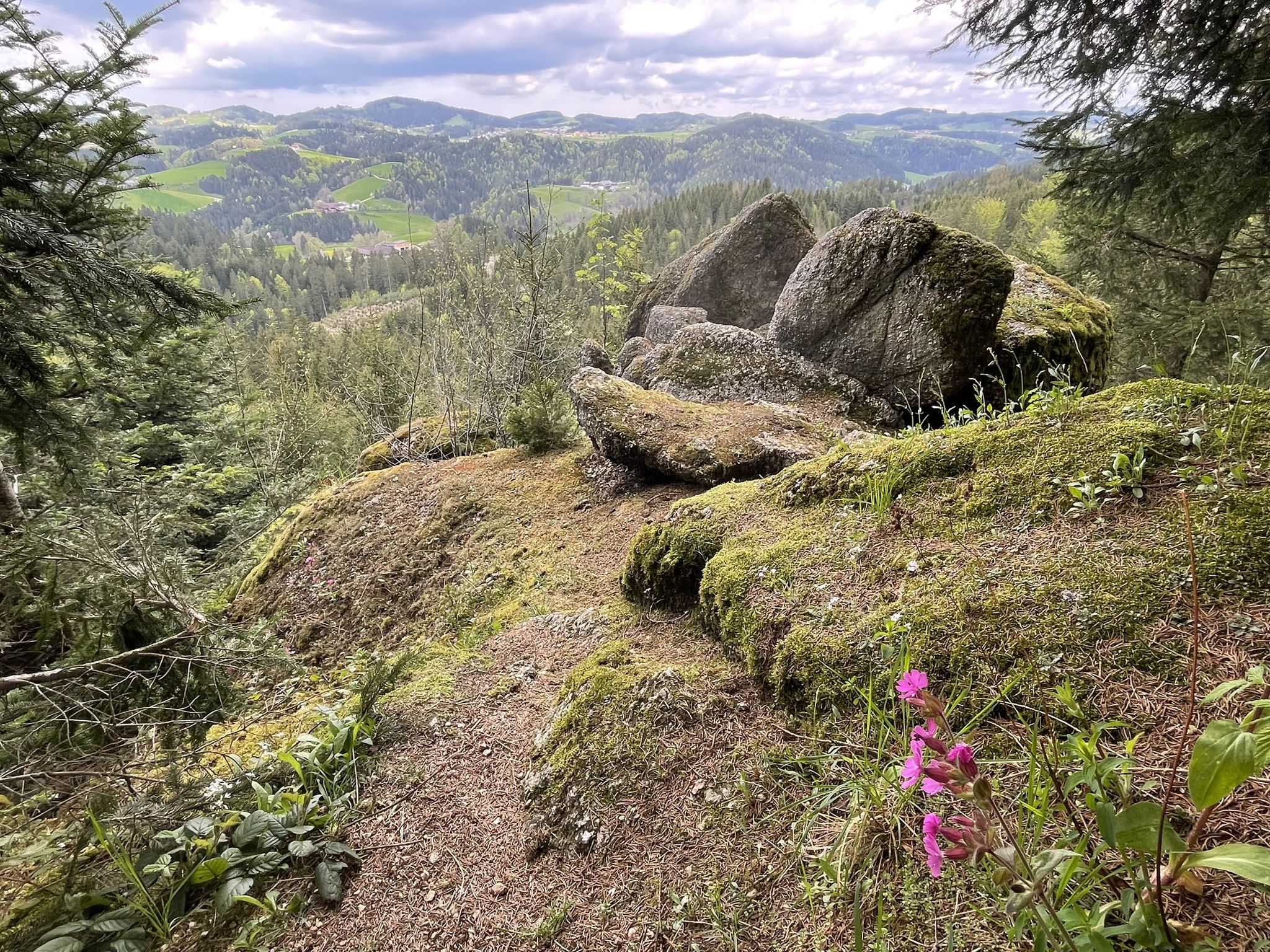 Blick bis nach Schönau im Mühlkreis