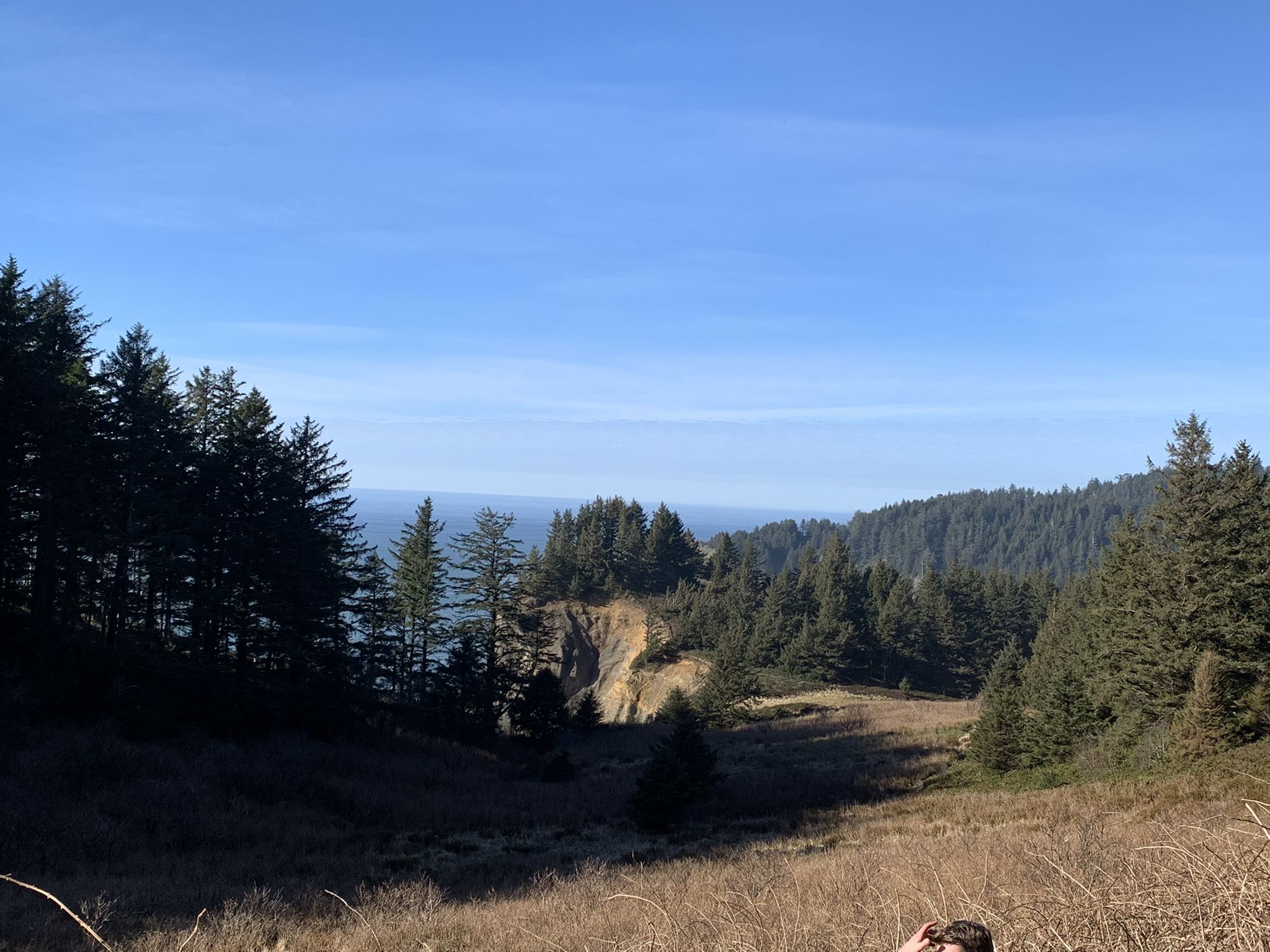 Sunny view of a grassy field, dense forest, and distant ocean, with a person. - Elk Flats Trail