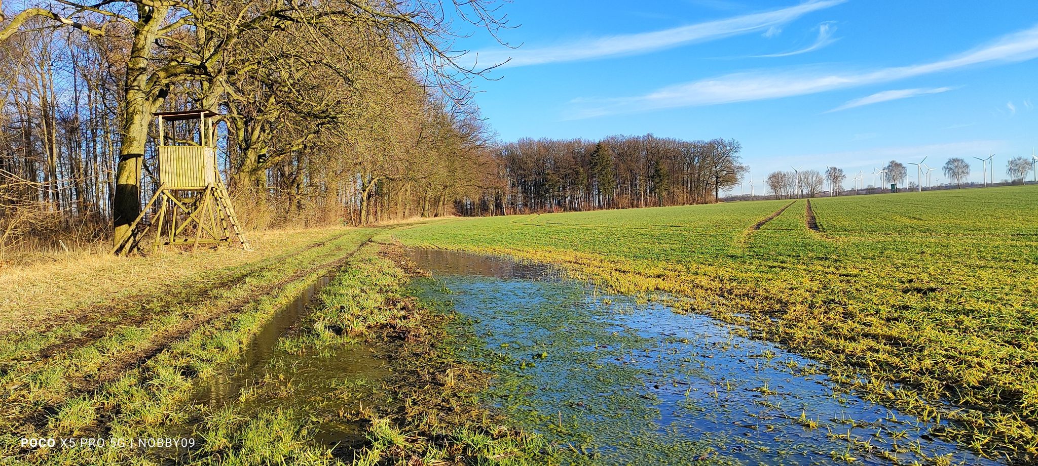vielerorts steht das Wasser auf den Feldern