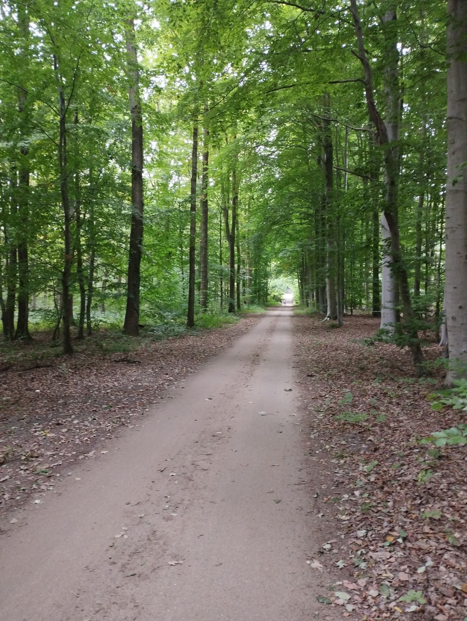 Sentier de la Chaussée de Tervuren