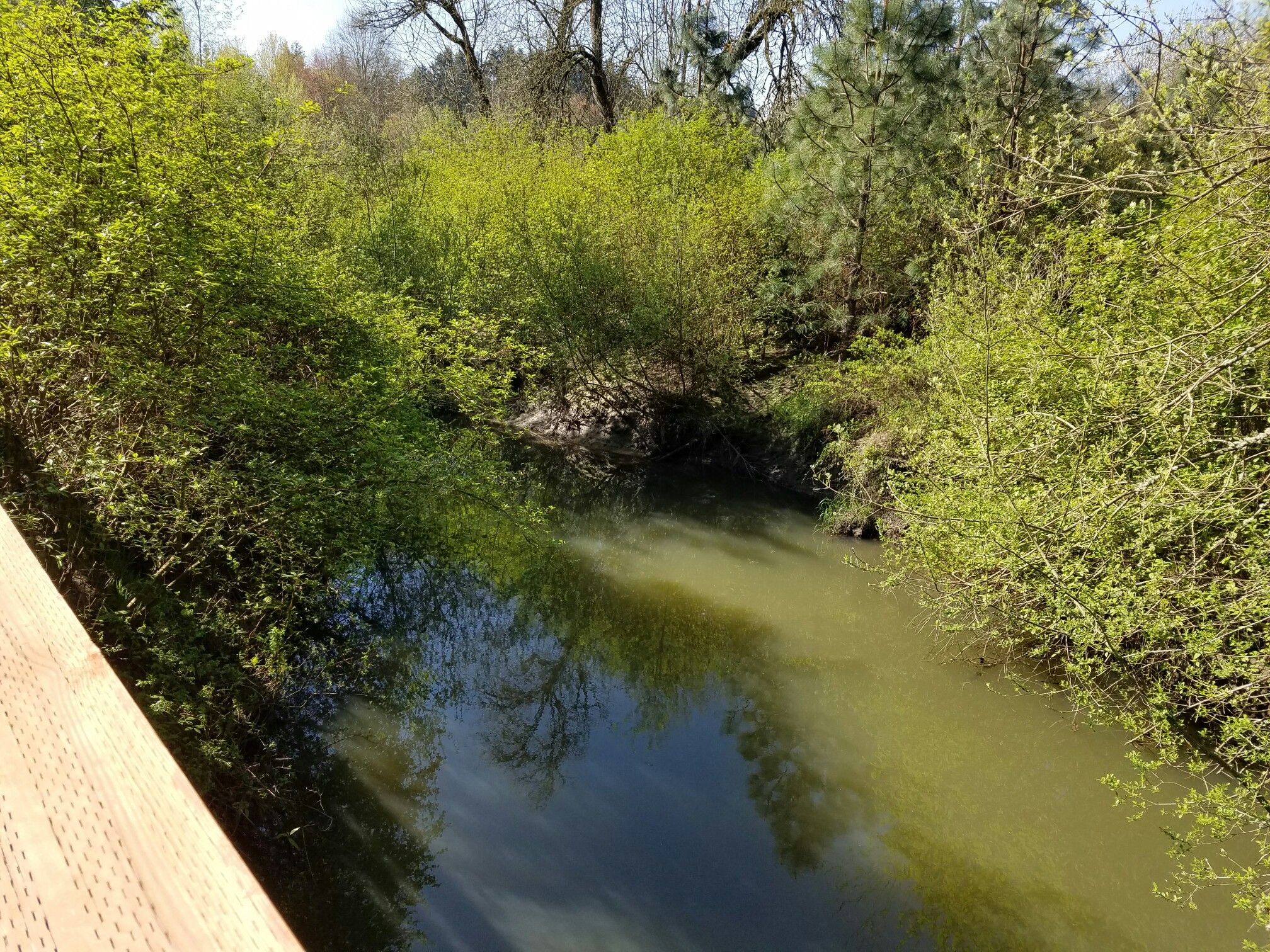 Sunny view of a narrow river flowing between lush green banks. - Fanno Creek Park – Tualatin Hills Nature Park loop from Elmonica/Southwest 170th Avenue