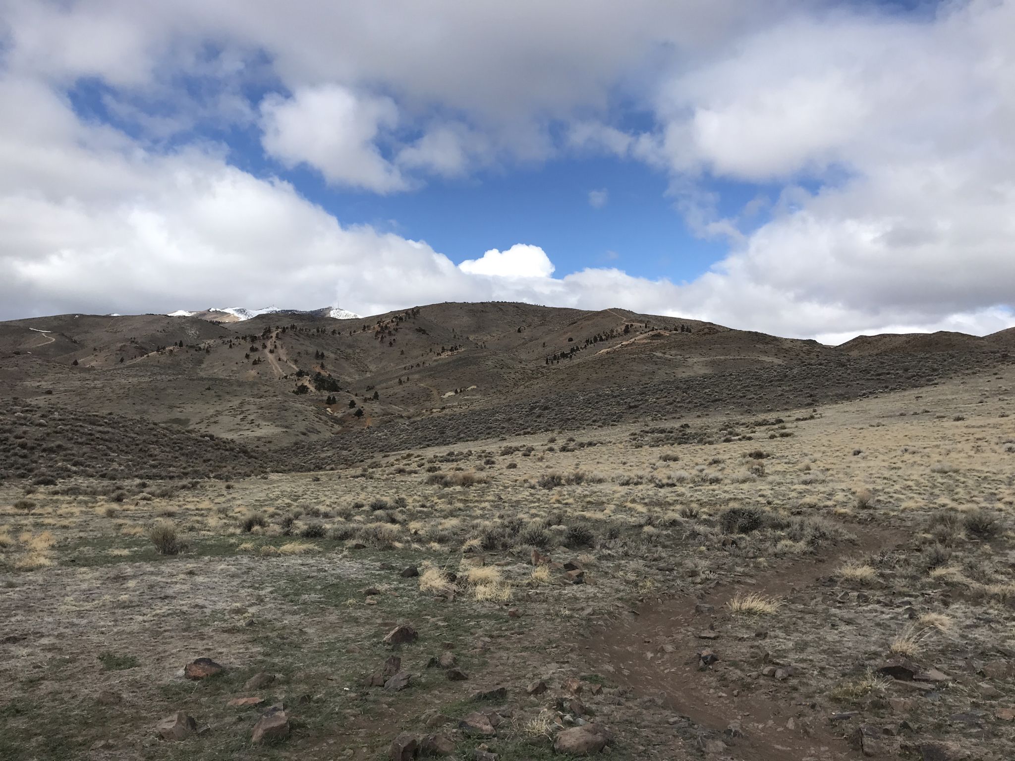 Expansive view of rolling, dry hills and distant mountains under a bright, cloudy sky. - Kings, Bacon, Halo Trail