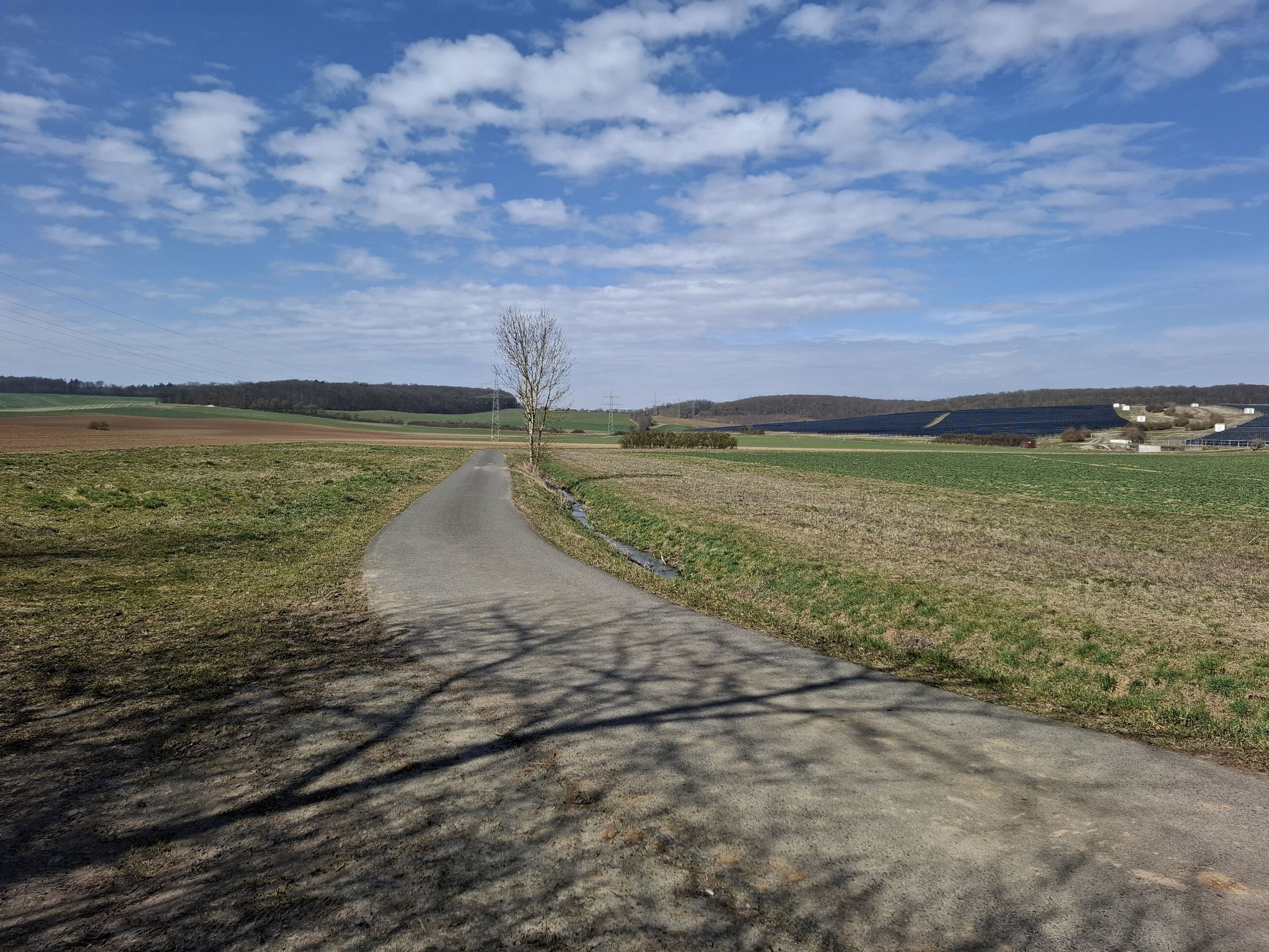 In der Nähe von Moos.
