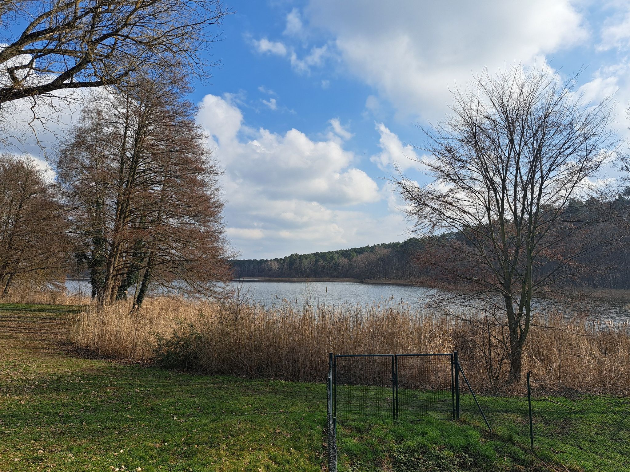 Petersdorfer See