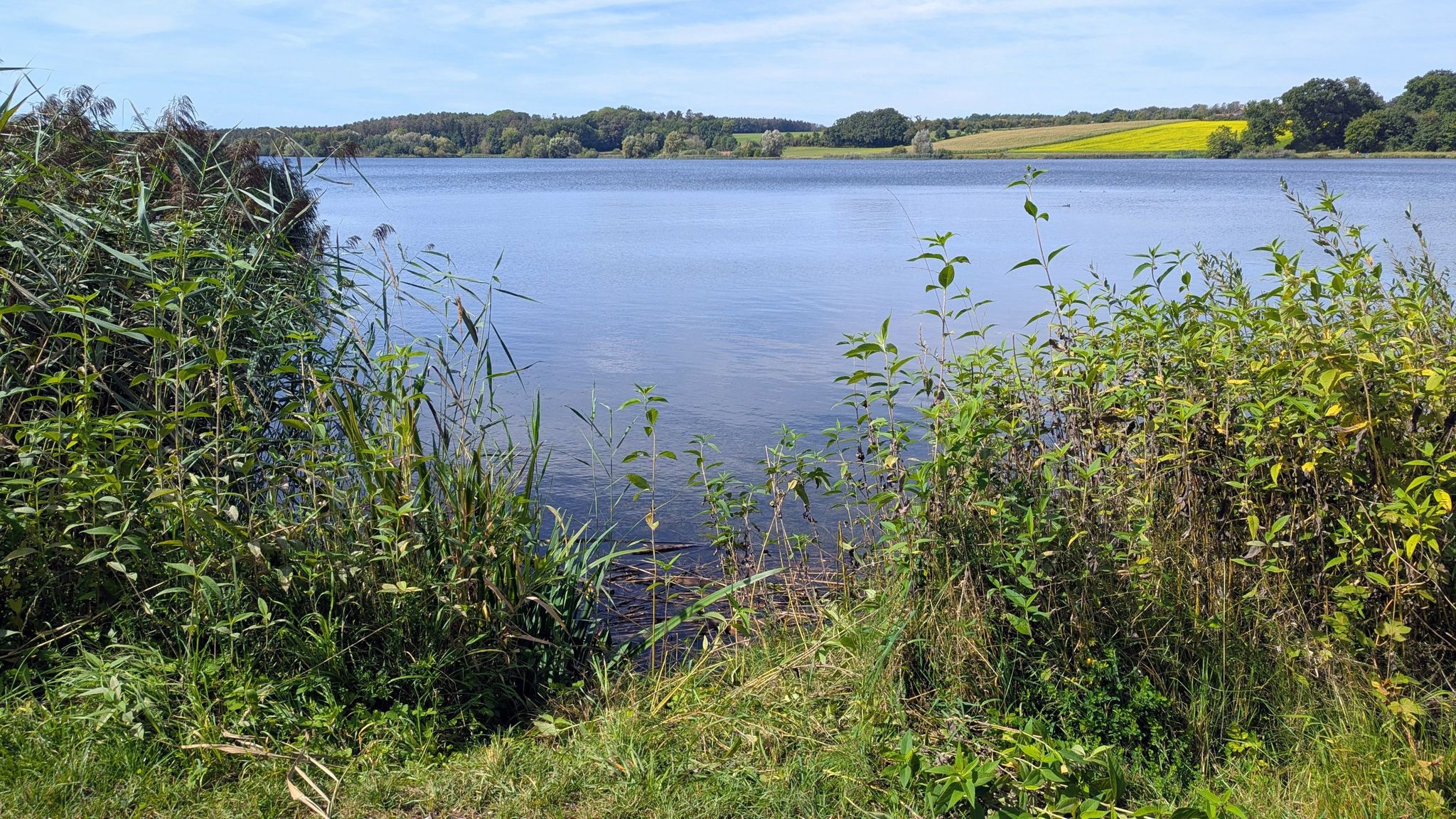 Blick auf den Rothsee und Nordwestufer