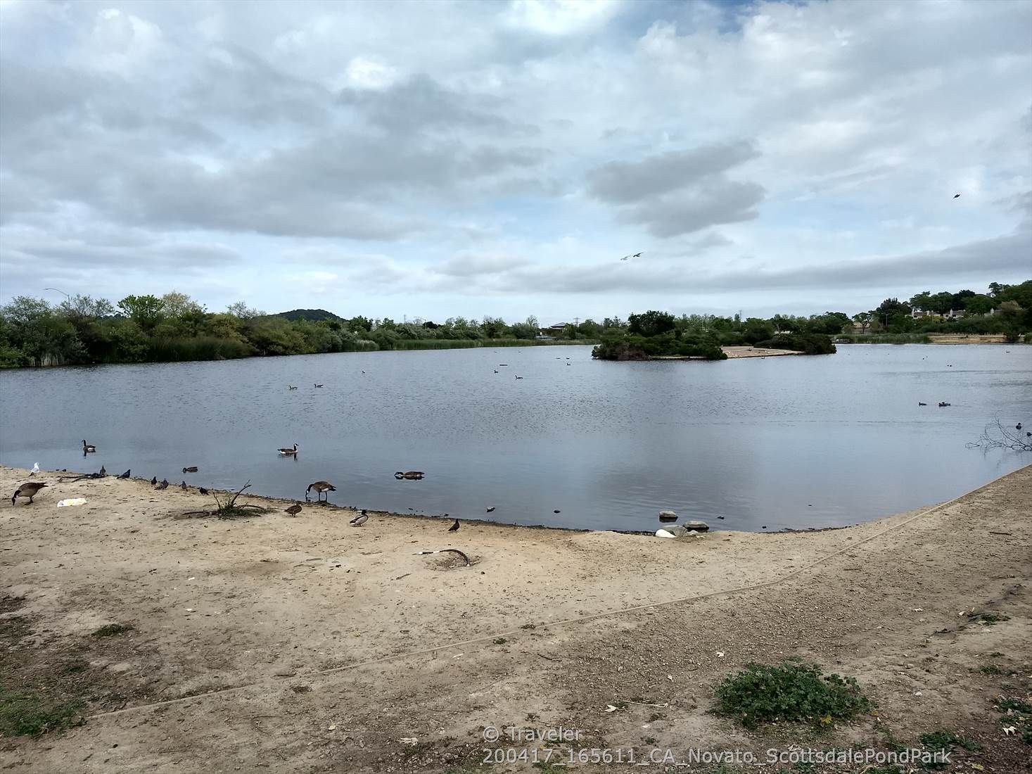A wide pond with ducks and geese under a cloudy sky. - Enfrente Pathway – Scottsdale Pond Park loop from Ignacio Valley Preserve
