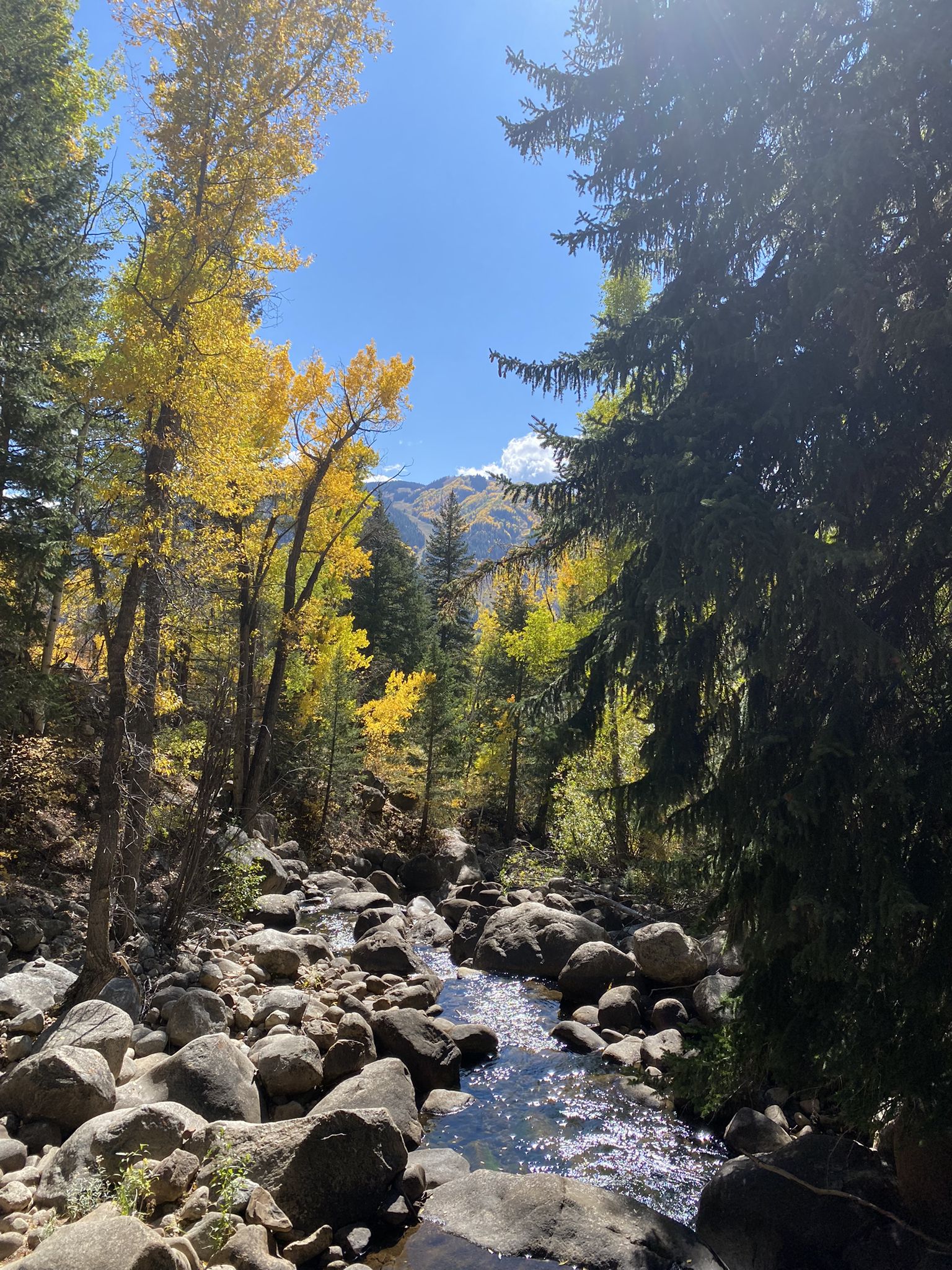 Sunlit rocky stream flowing through a vibrant autumn forest with distant mountains. - Lower Hunter Creek Trail