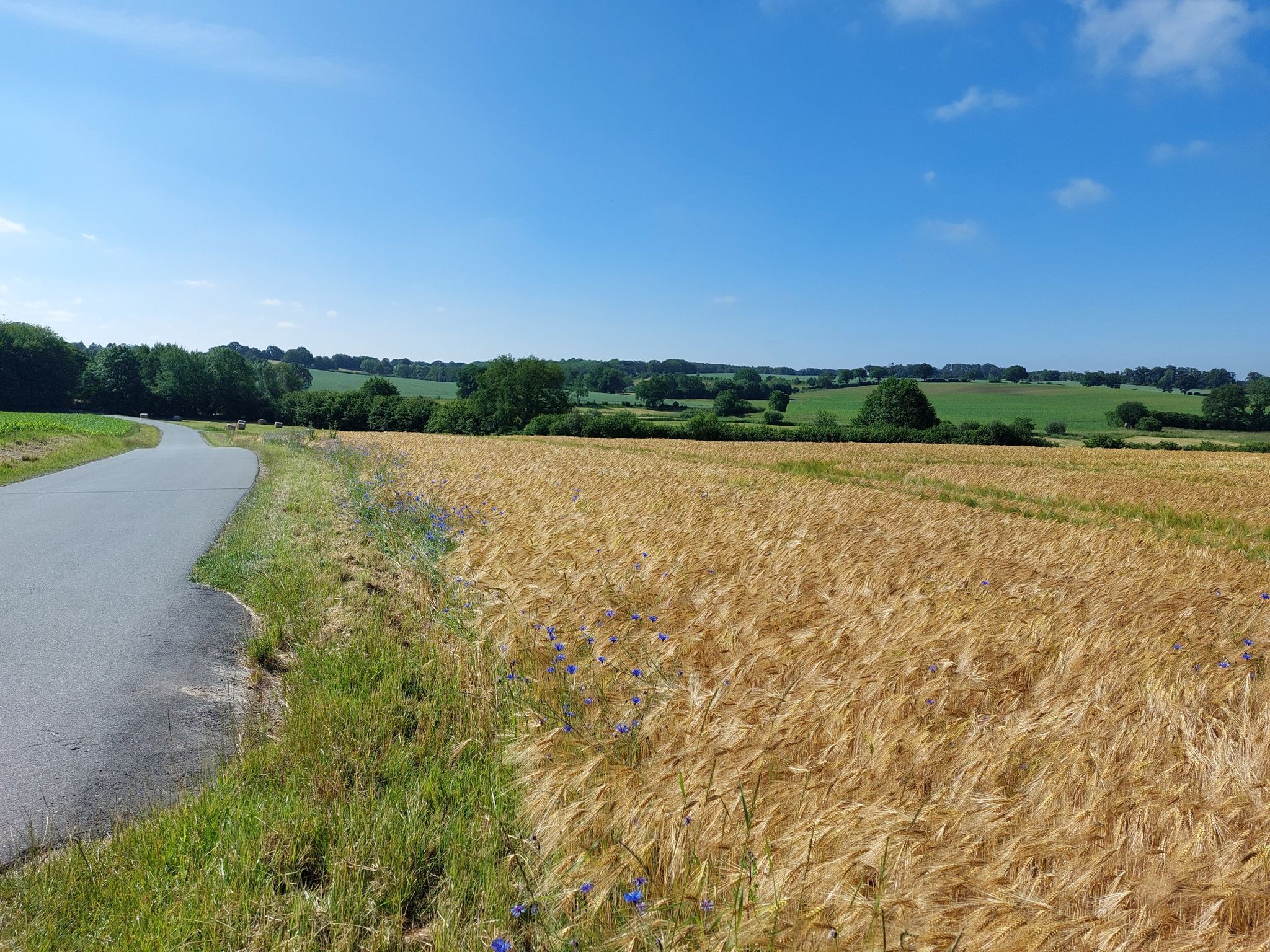 Langsam wird es  Hügelland