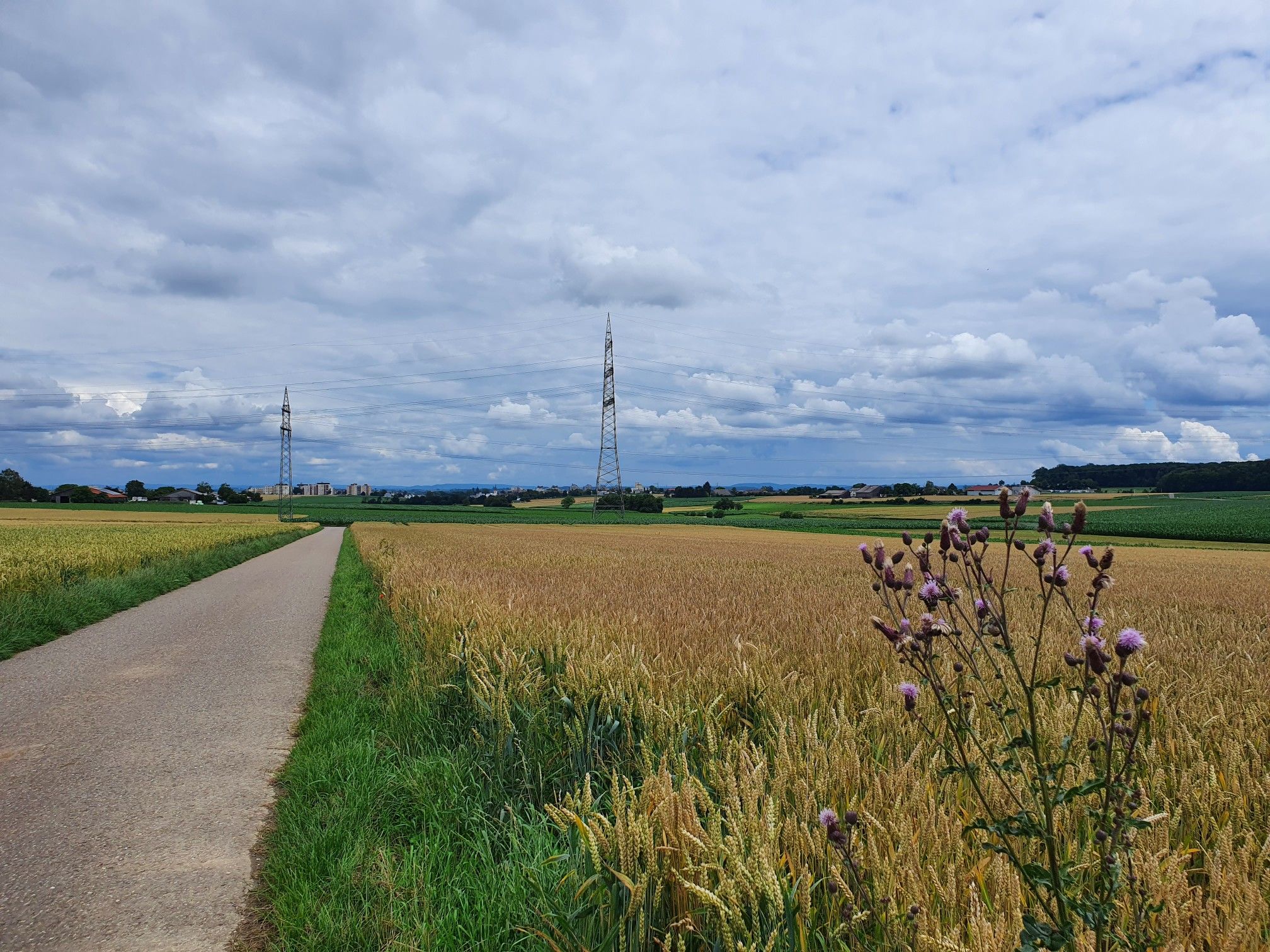 Hemmingen