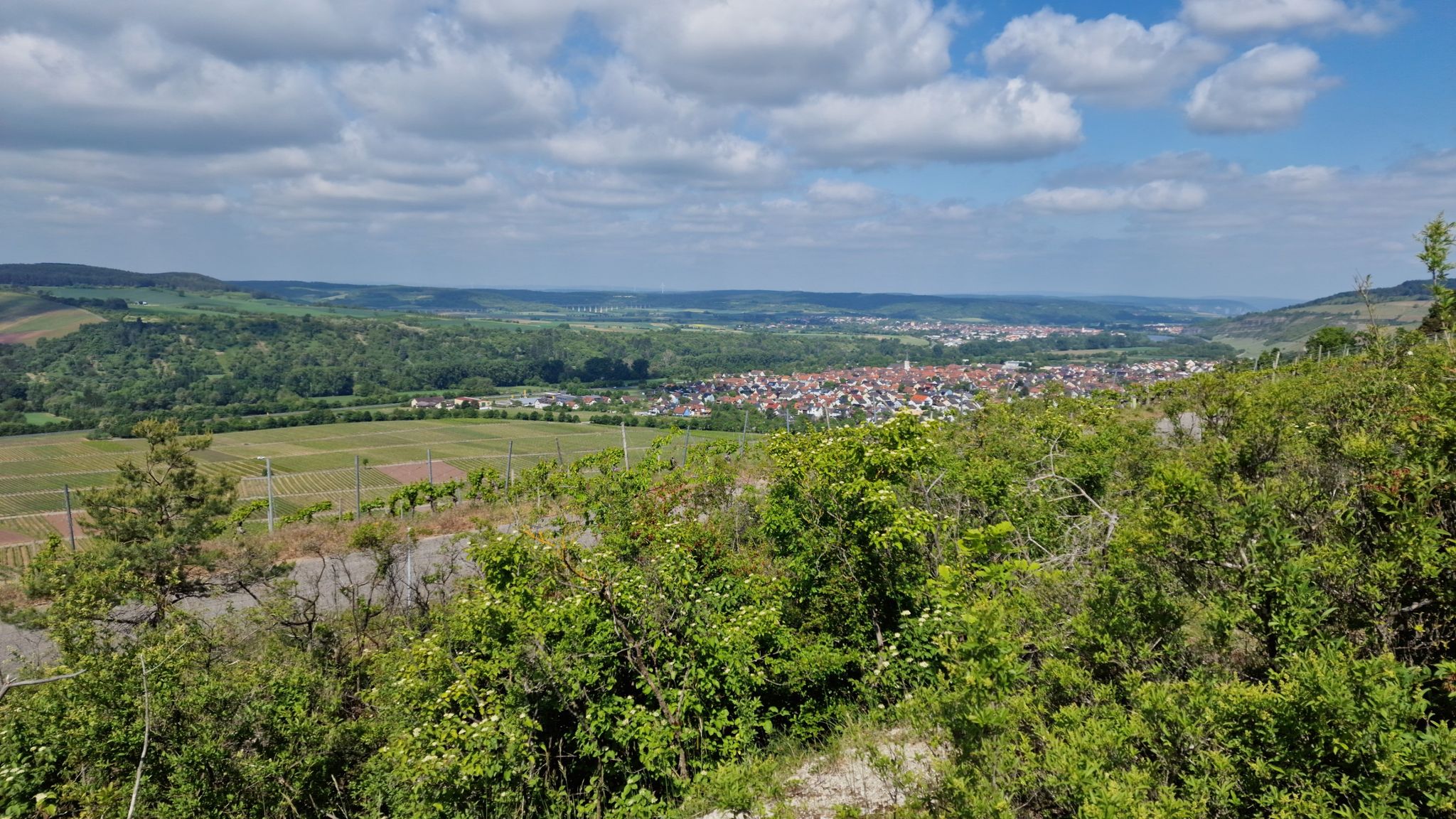 Blick in das Maintal