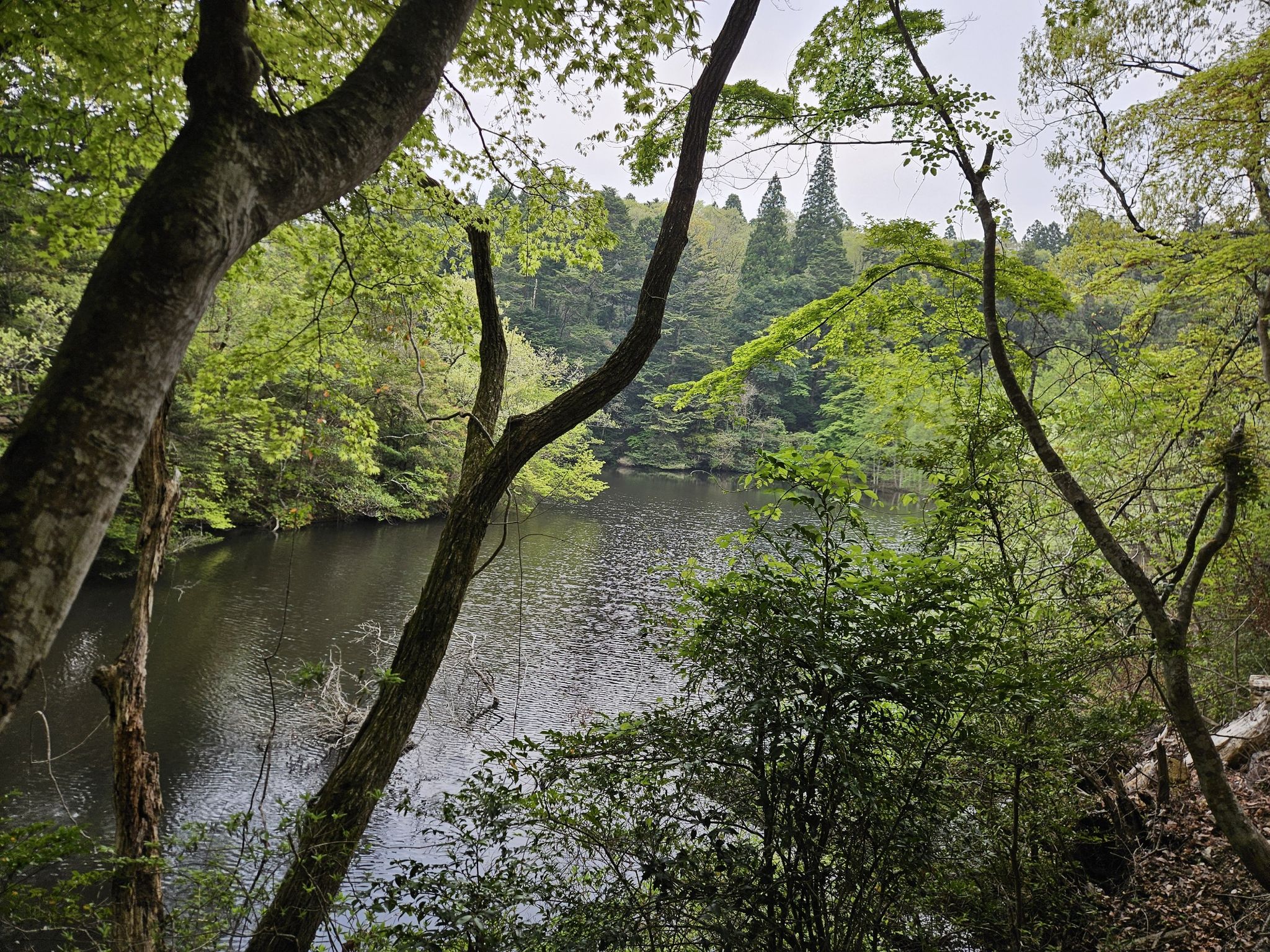 Verschwiegener See