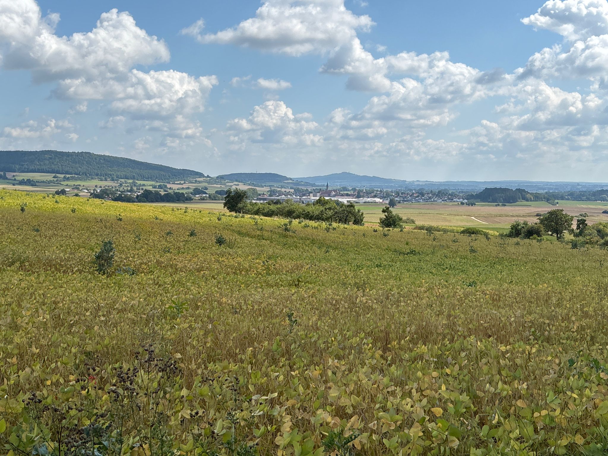 Blick über Langenenslingen zum Bussen