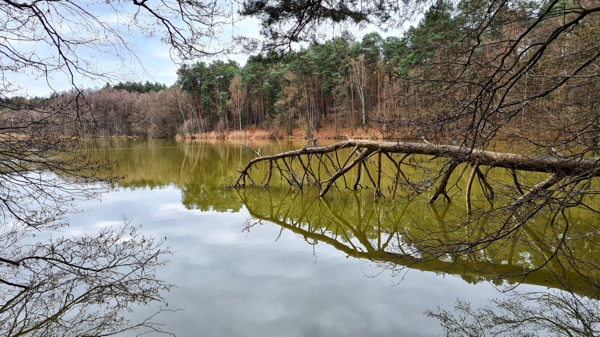 Briesensee