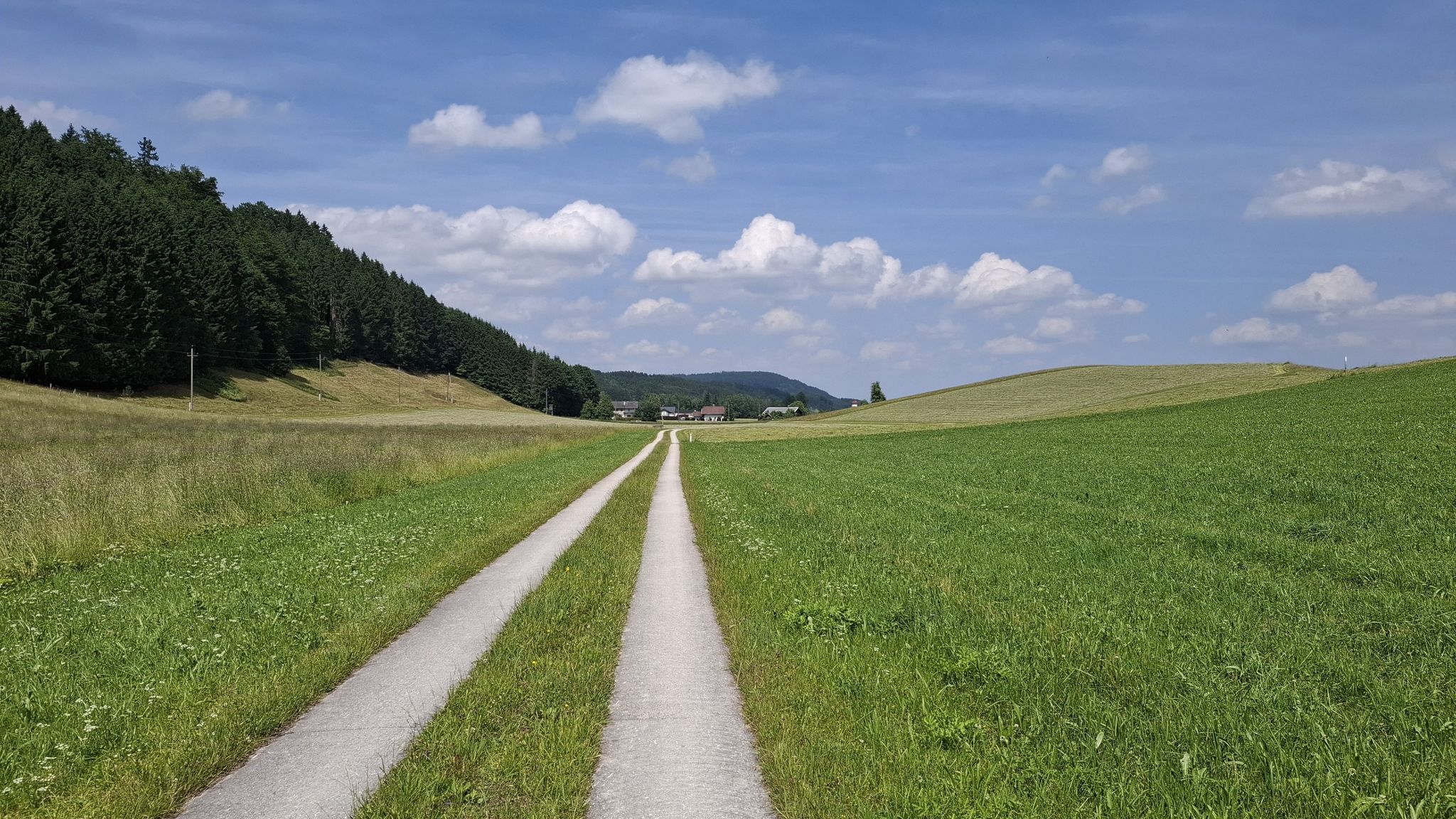 Auf der Zielgeraden