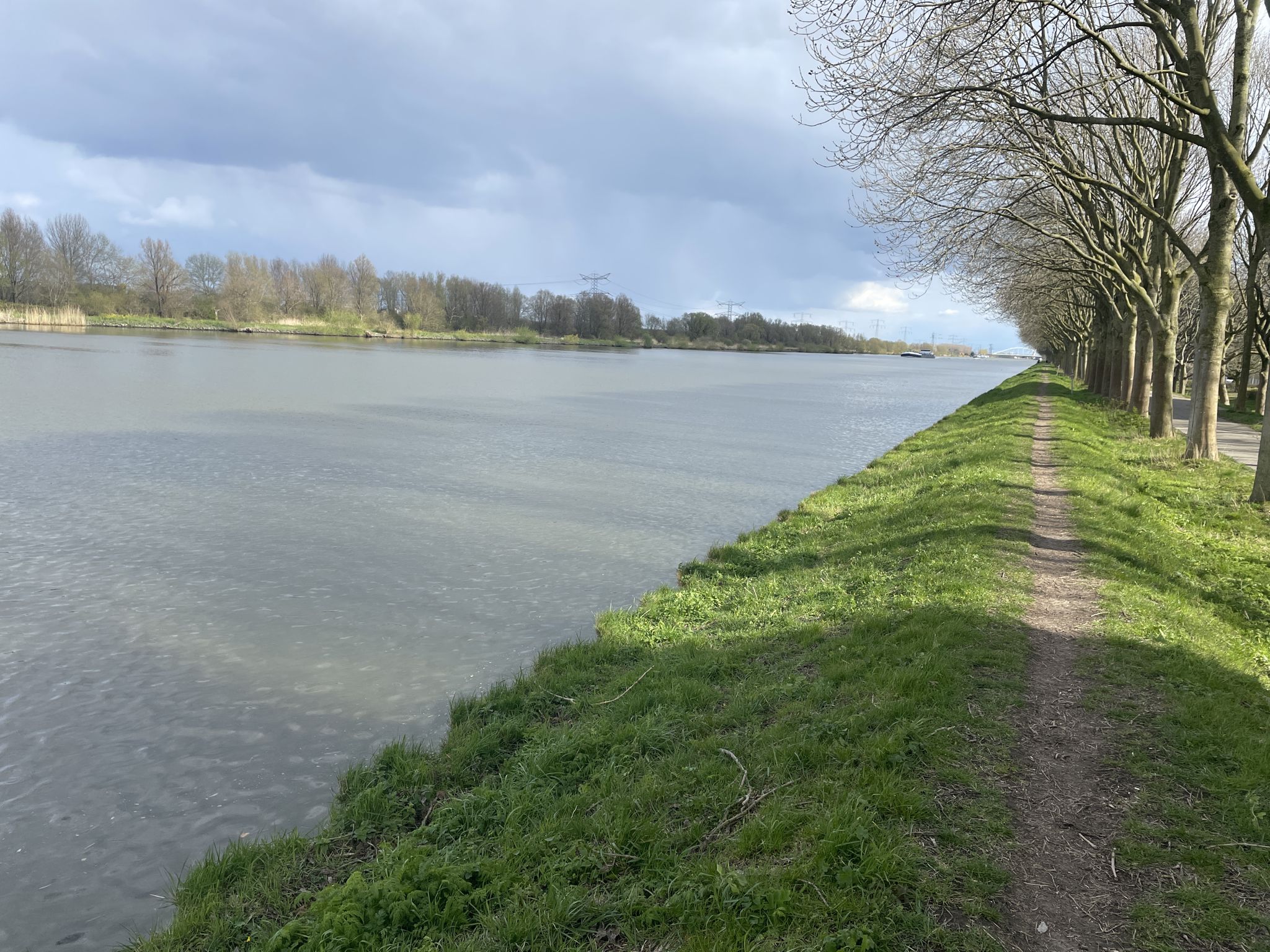 Rheinblick
