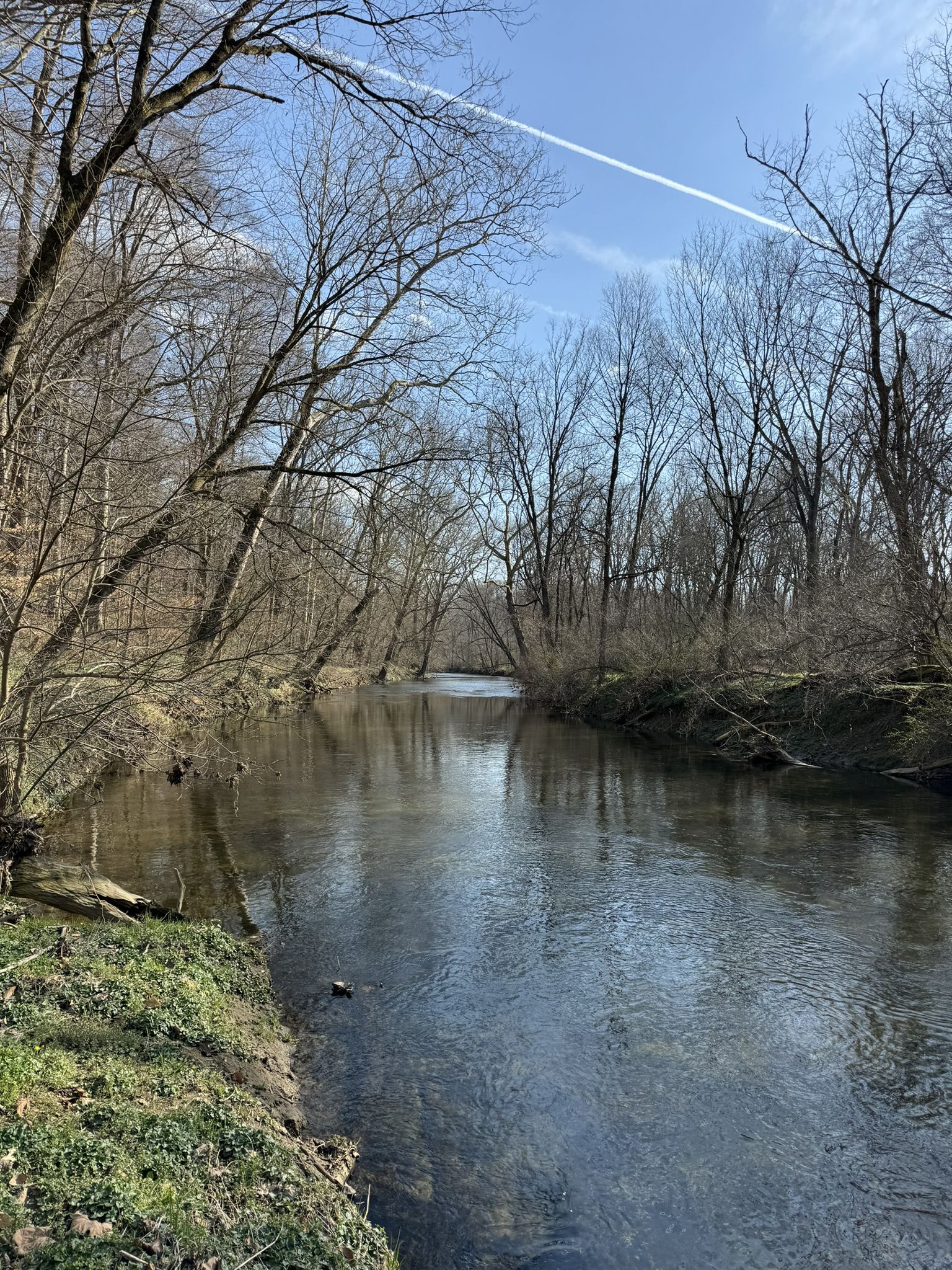 A clear river flows through a bare winter forest under a bright sky. - Lancaster County Central Park Trail