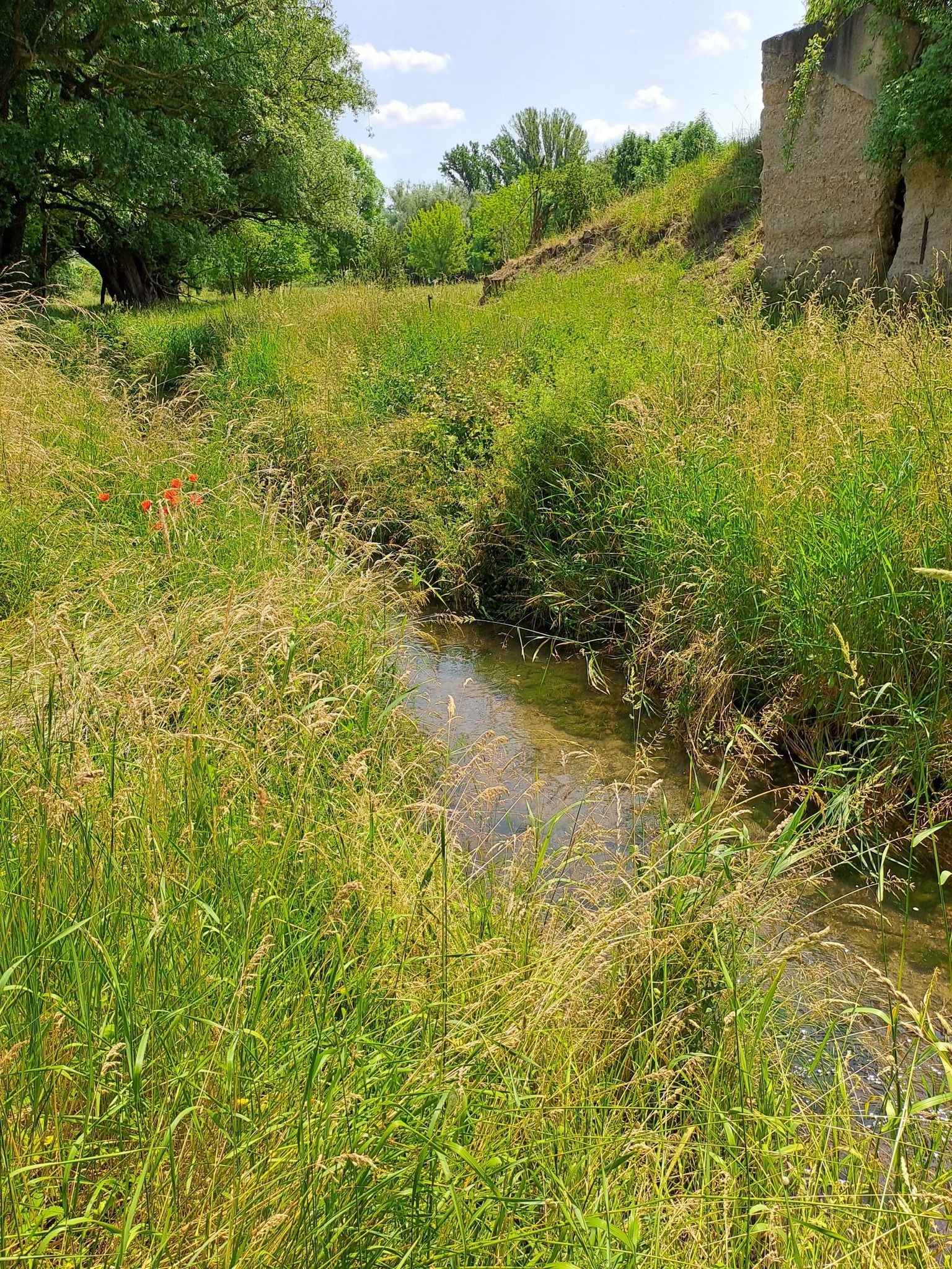 An der Weida in Richtung Schraplau