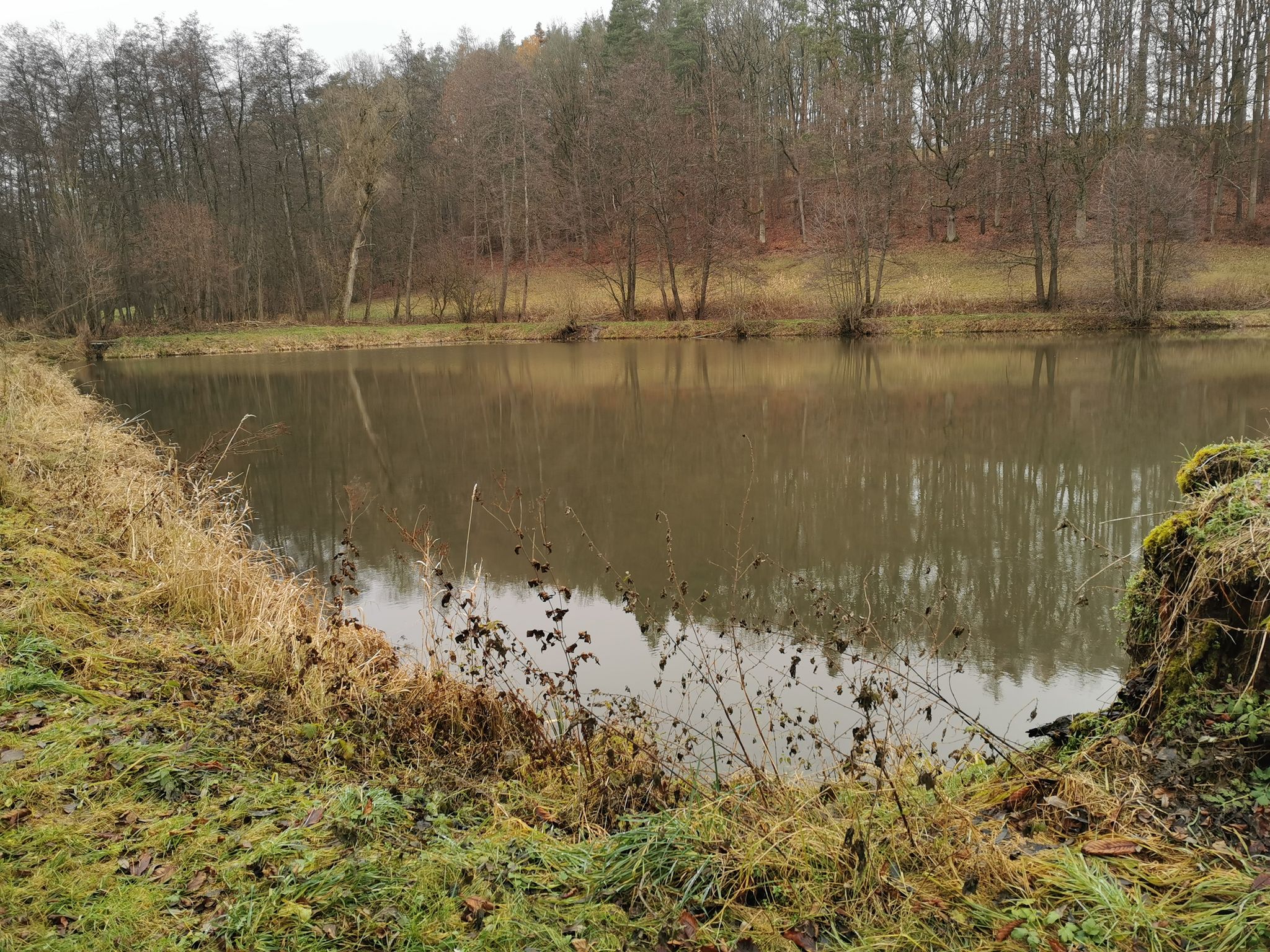 Am Rohrsee