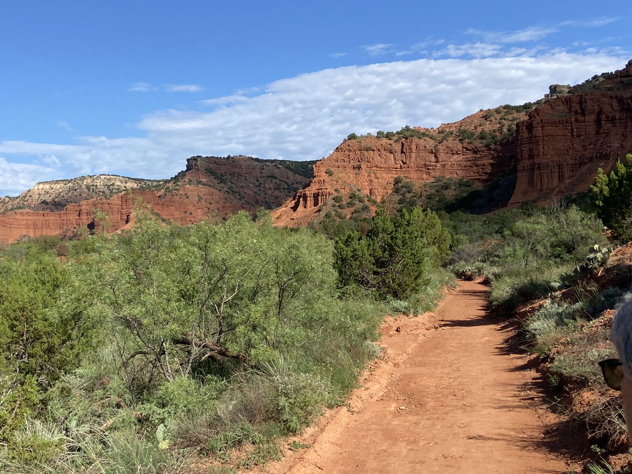 Red dirt trail through green brush, leading towards red rock formations. - Upper Canyon and Lower Canyon Loop