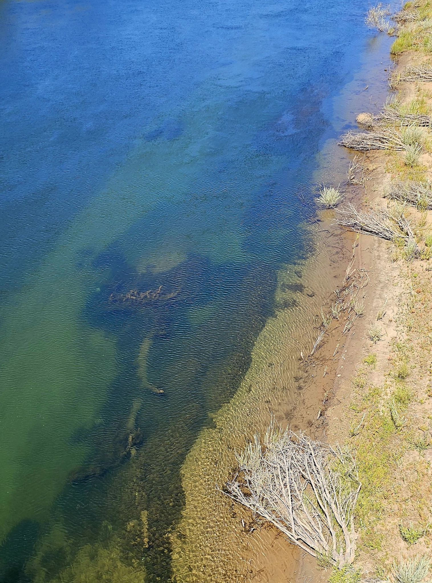 Clear river water next to a sandy bank with sparse vegetation from above. - Guy West Bridge – Jibboom Bridge loop from Arco Arena I