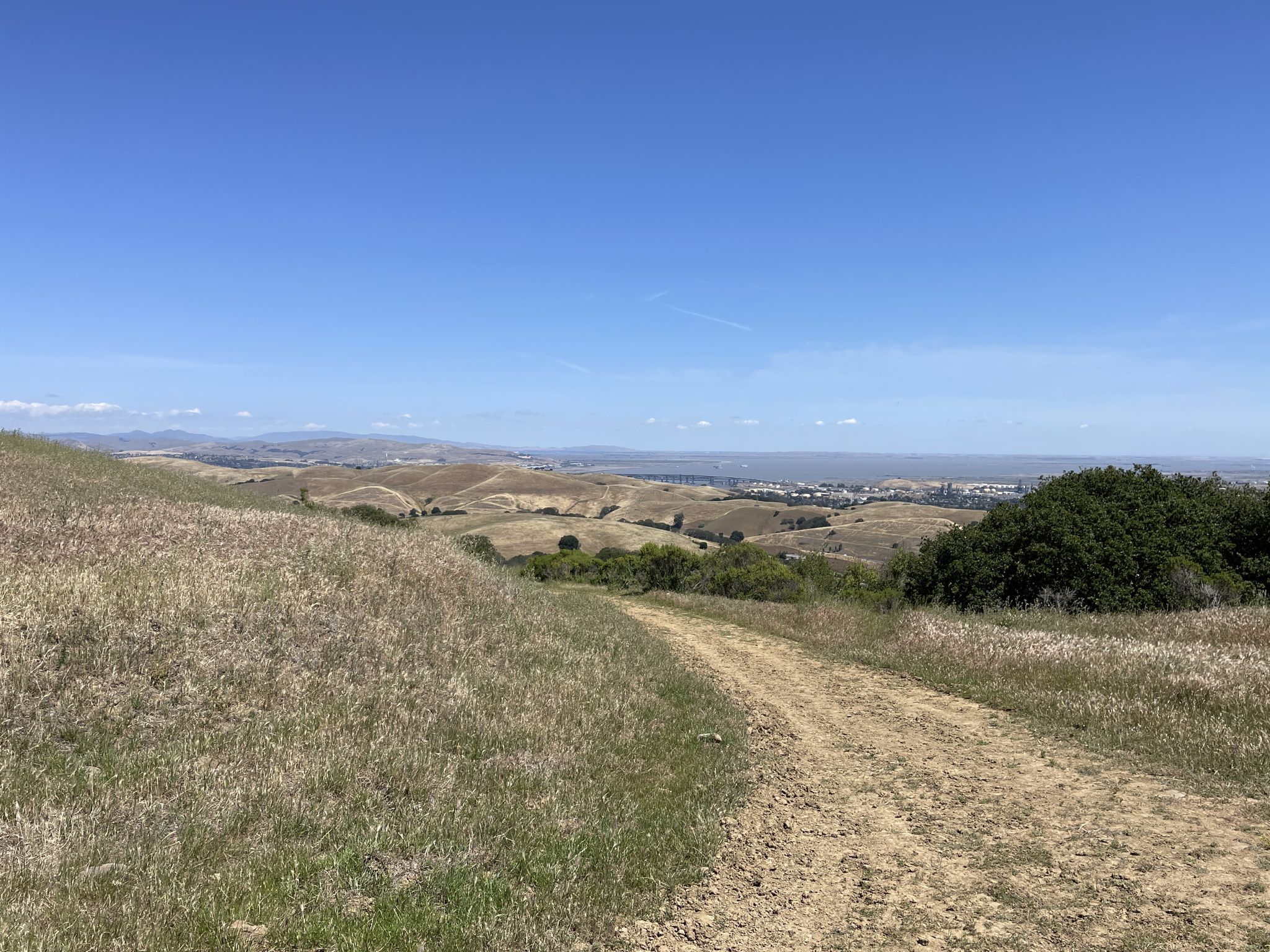 Dirt path winding through dry grassy hills under a clear blue sky. - Mt. Wanda via Main Fire, Almond, and Dutra Trail