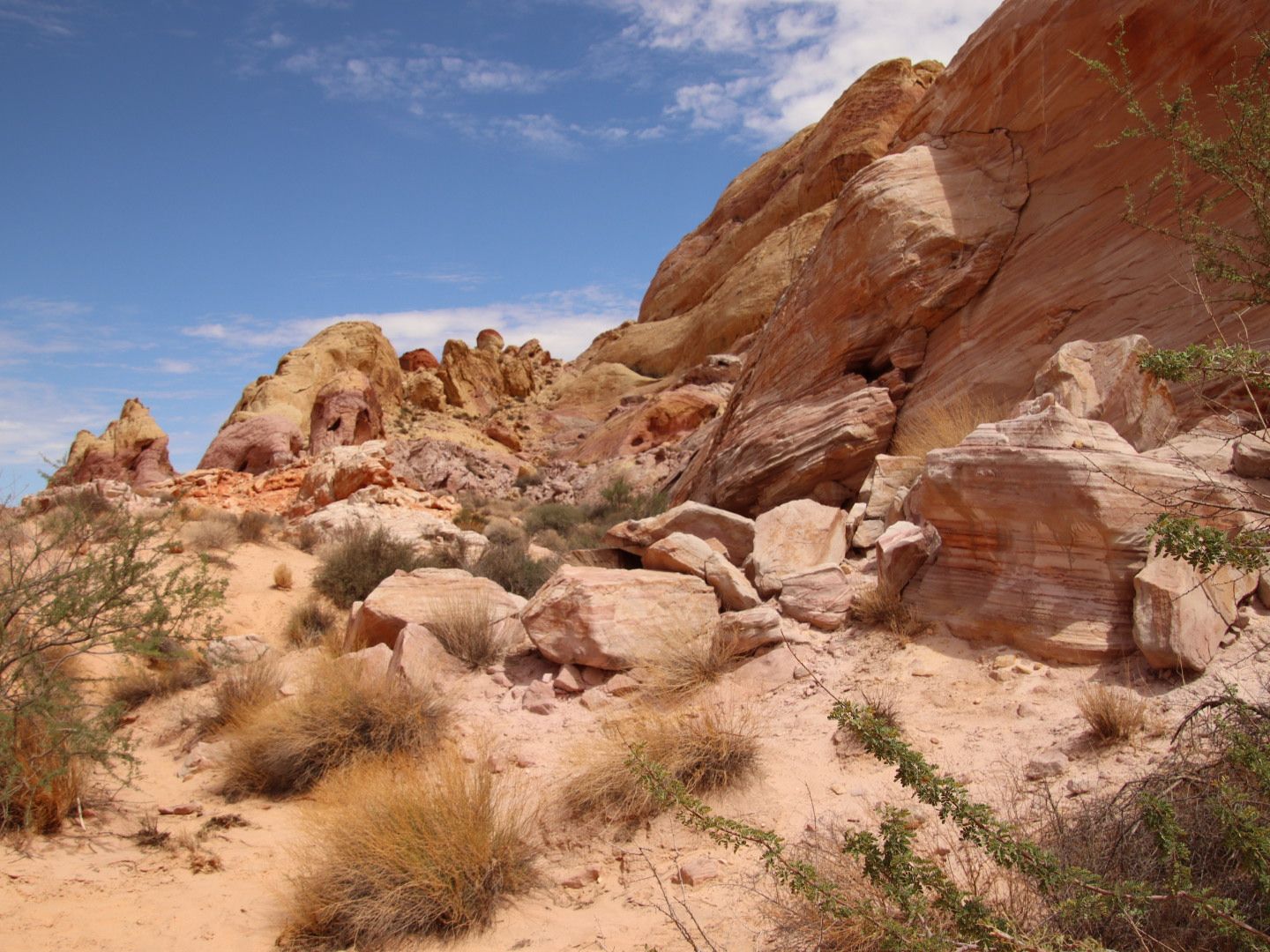 Colorful sandstone formations and sandy terrain with sparse desert plants under blue sky. - Watchman Trailhead – Zion National Park loop from Zion Human History Museum