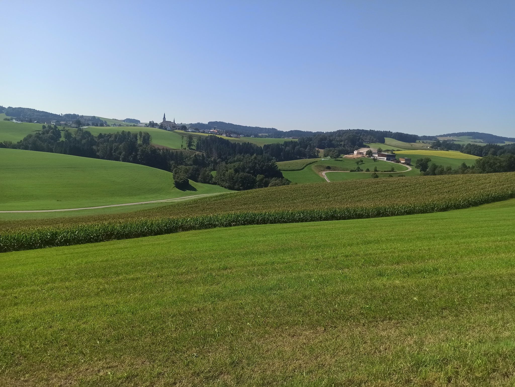Niederkappel
