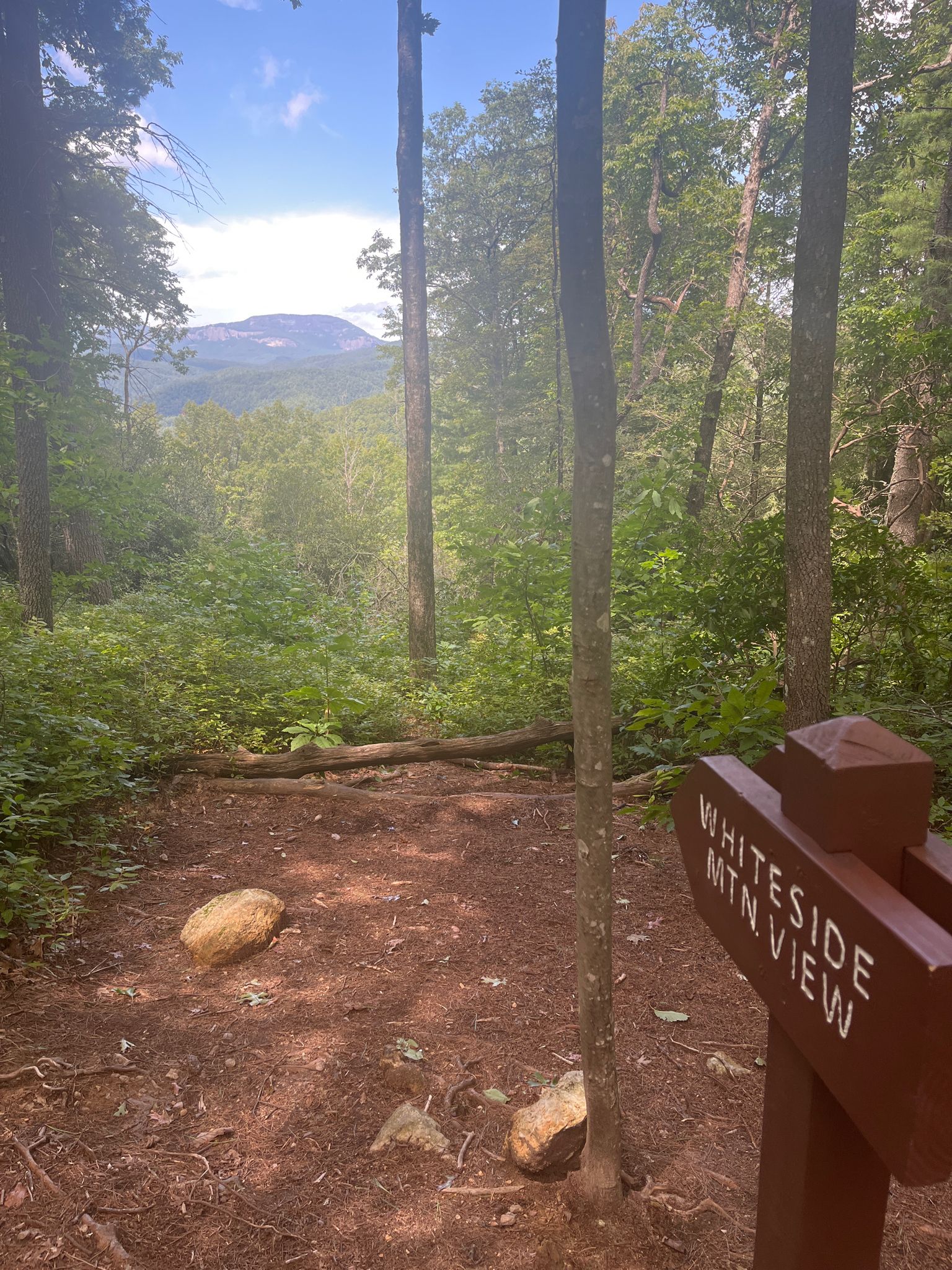 A trail sign pointing to a mountain view through a green forest. - Foothills Trail: Upper Whitewater Falls to Burrell's Ford Road