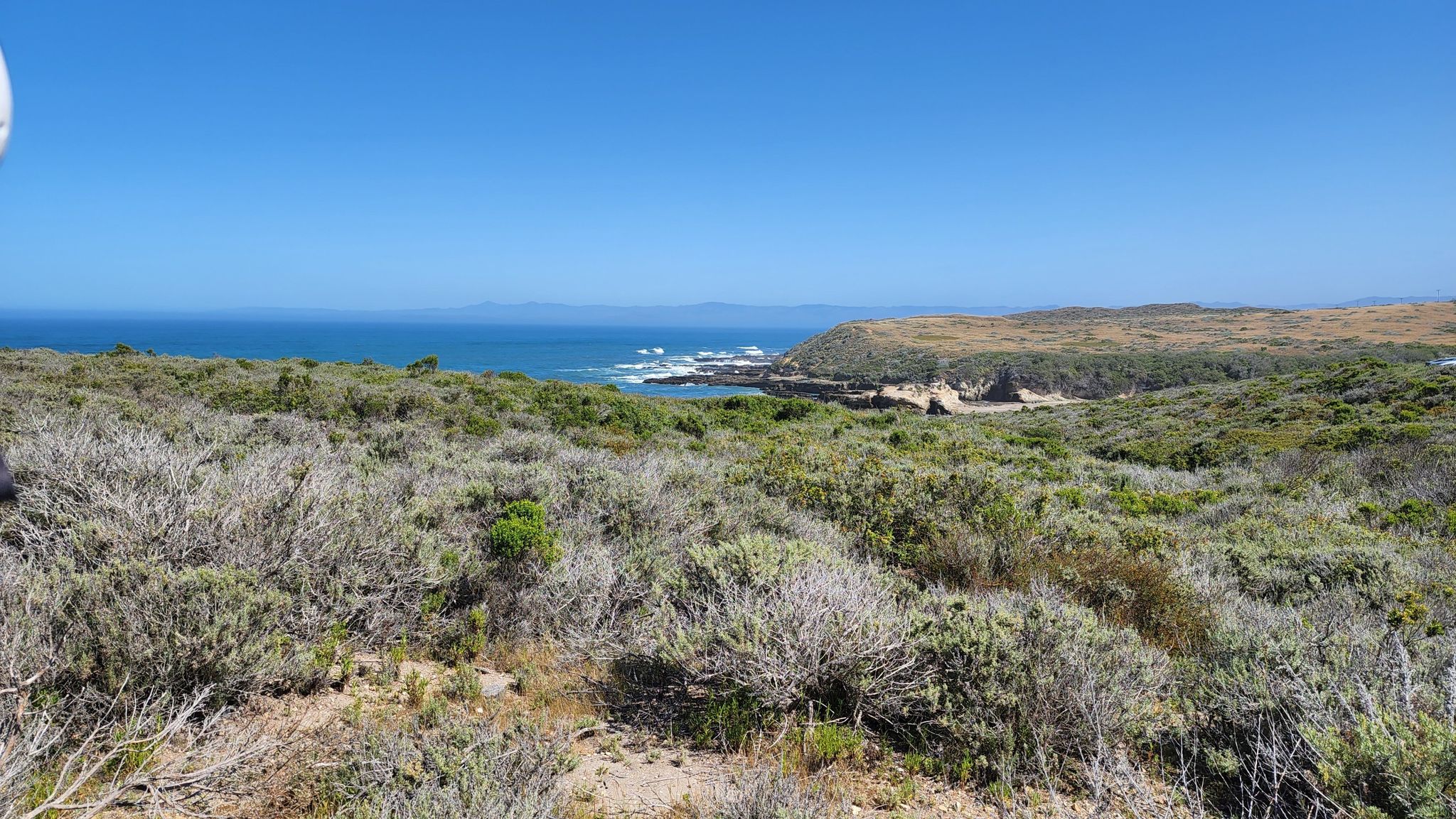 Sunny coastal landscape with vast scrubland and distant ocean. - Alan Peak Trail