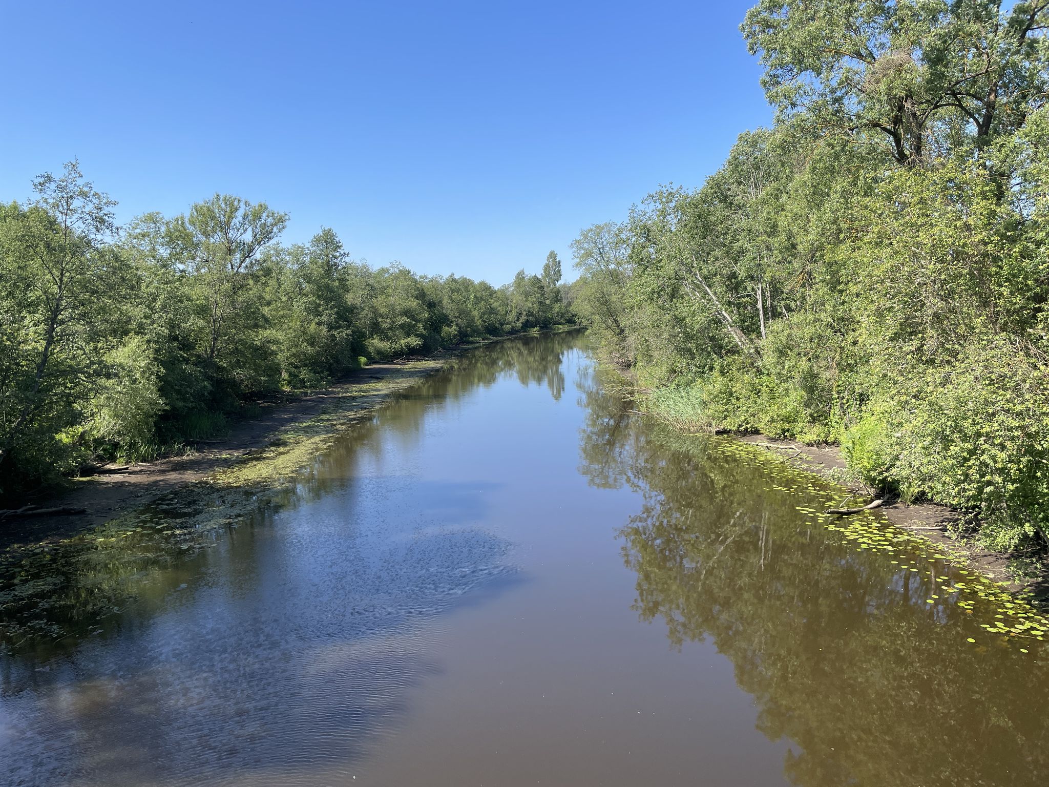 Fluss Iecava