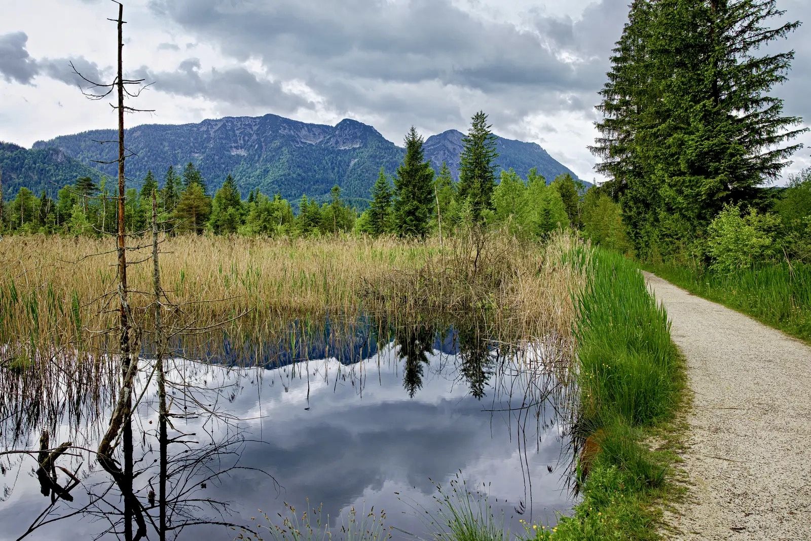 Radweg durch das Inzeller Moor