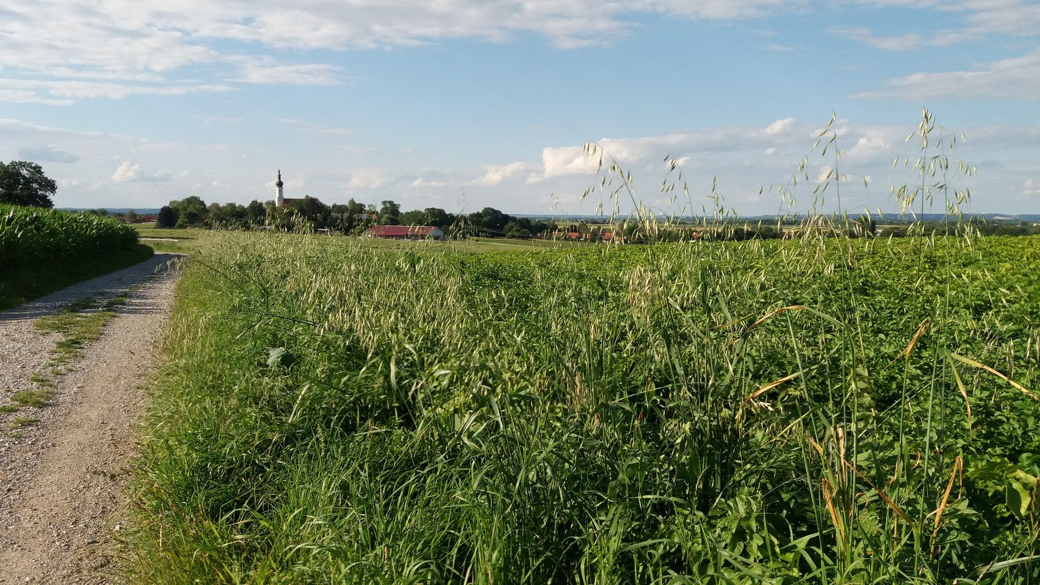 Aufkirchen taucht auf