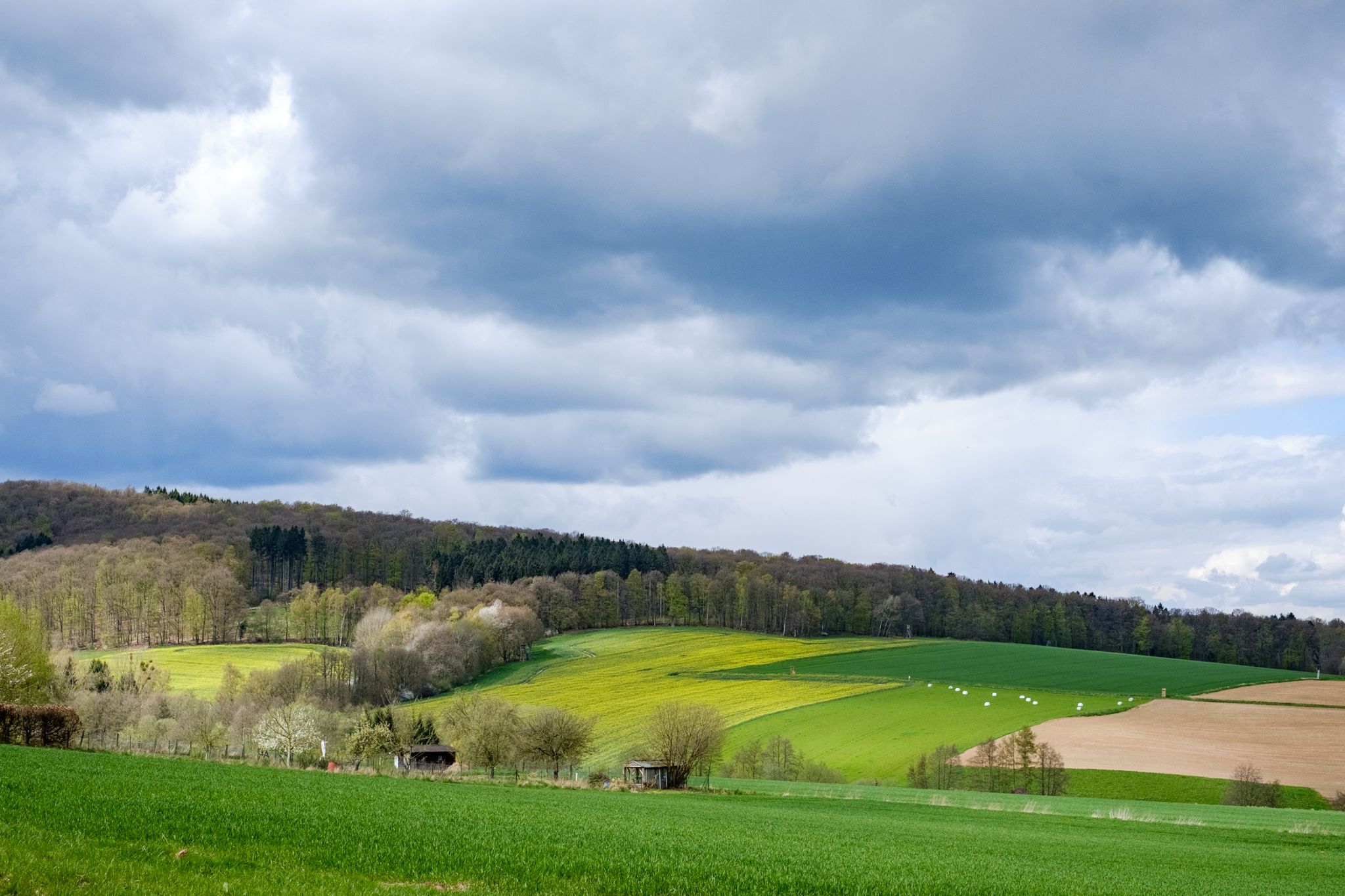 Blick auf den Kammweg des Tosmarbergs