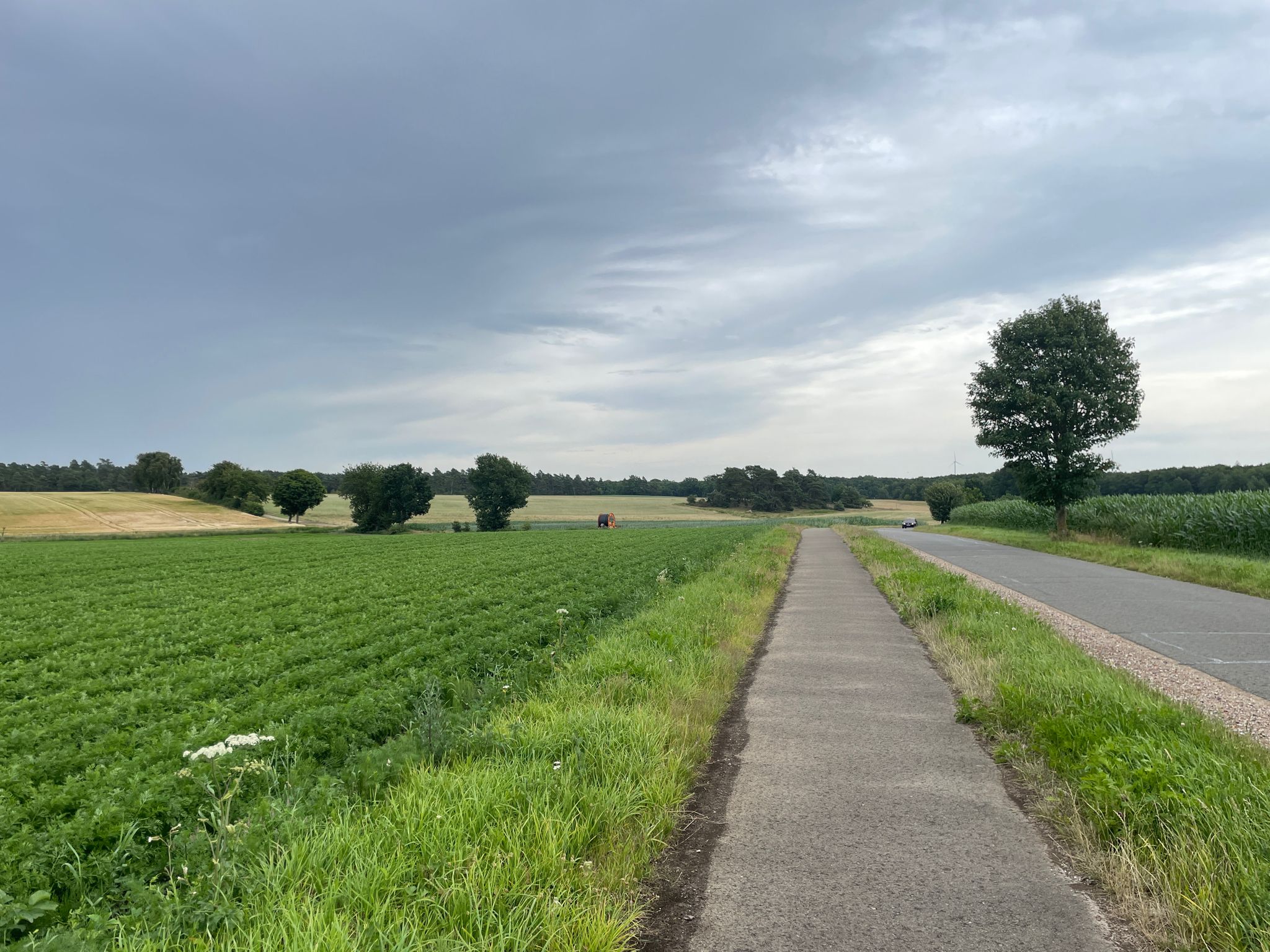 Heiligenthaler Weg