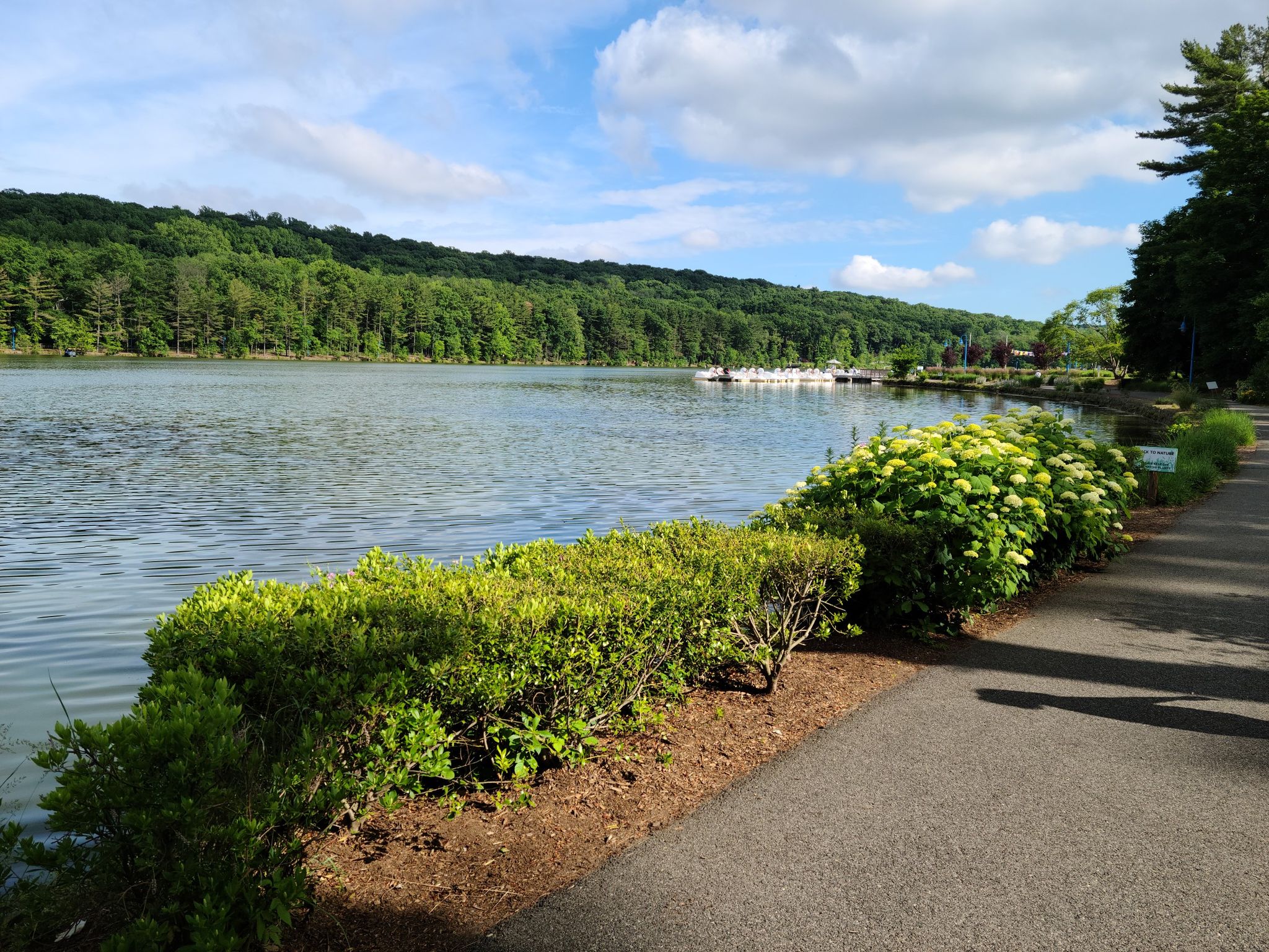 Sunny lake view with forested hills, distant boats, and a paved path. - Washington Rock – Orange Reservoir dam & bridge loop from Millburn