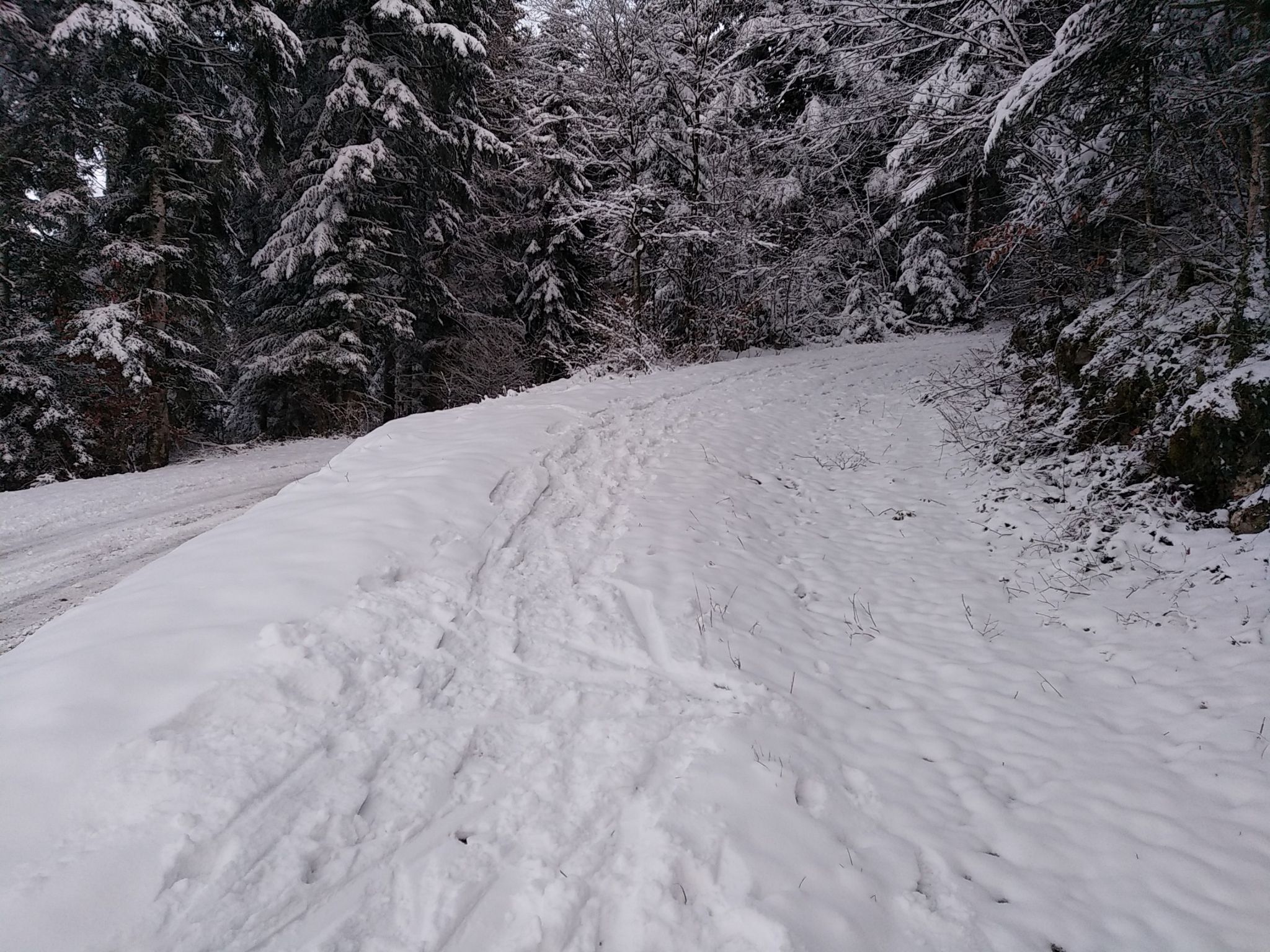 sentier trace raquette non carto