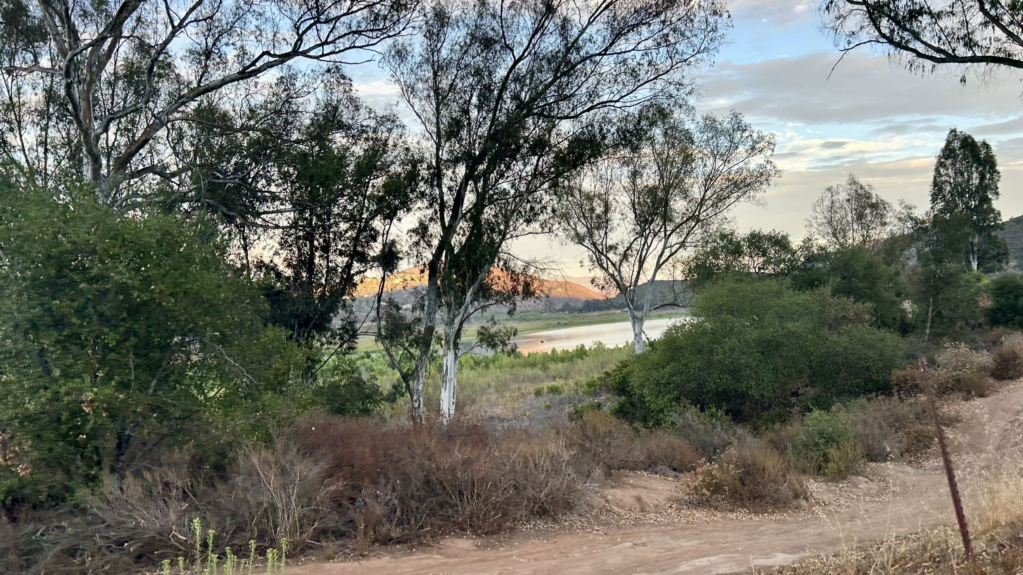 Silhouetted trees and shrubs frame a lake with soft sunset colors. - Coast to Crest Trail: North Shore Lake Hodges