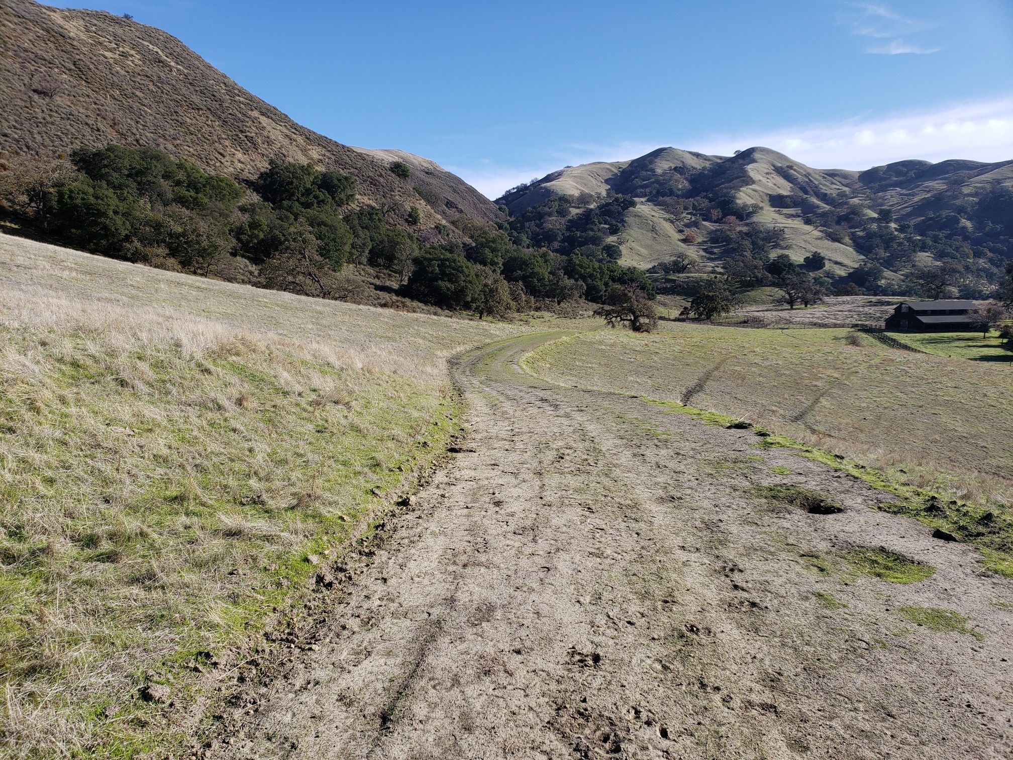 A dirt path winds through dry grassy hills under a clear blue sky. - Indian Joe, Cave Rocks, High Valley, and Flag Hill Loop