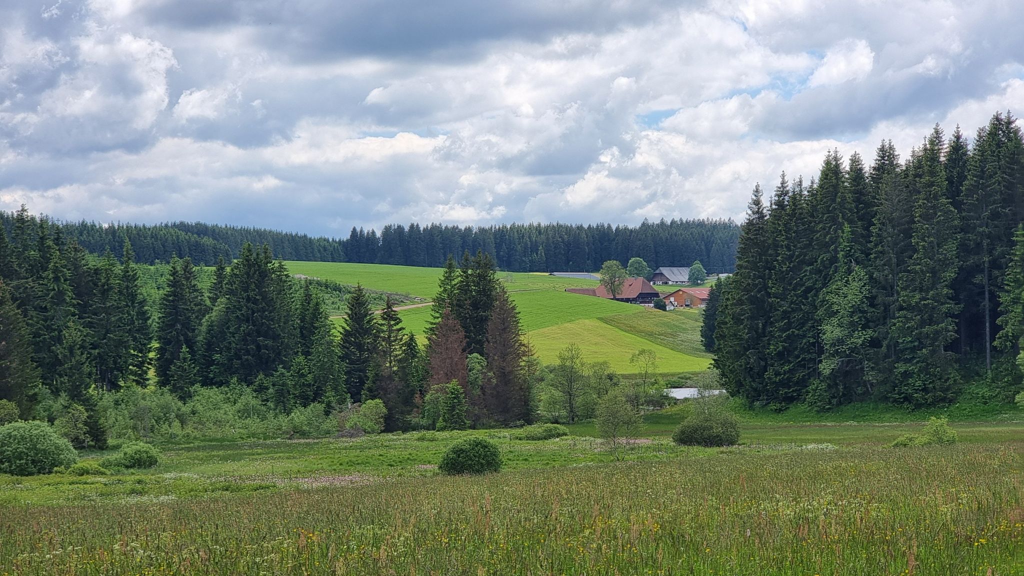 Quellgebiet Gutach und Kernesepplehof