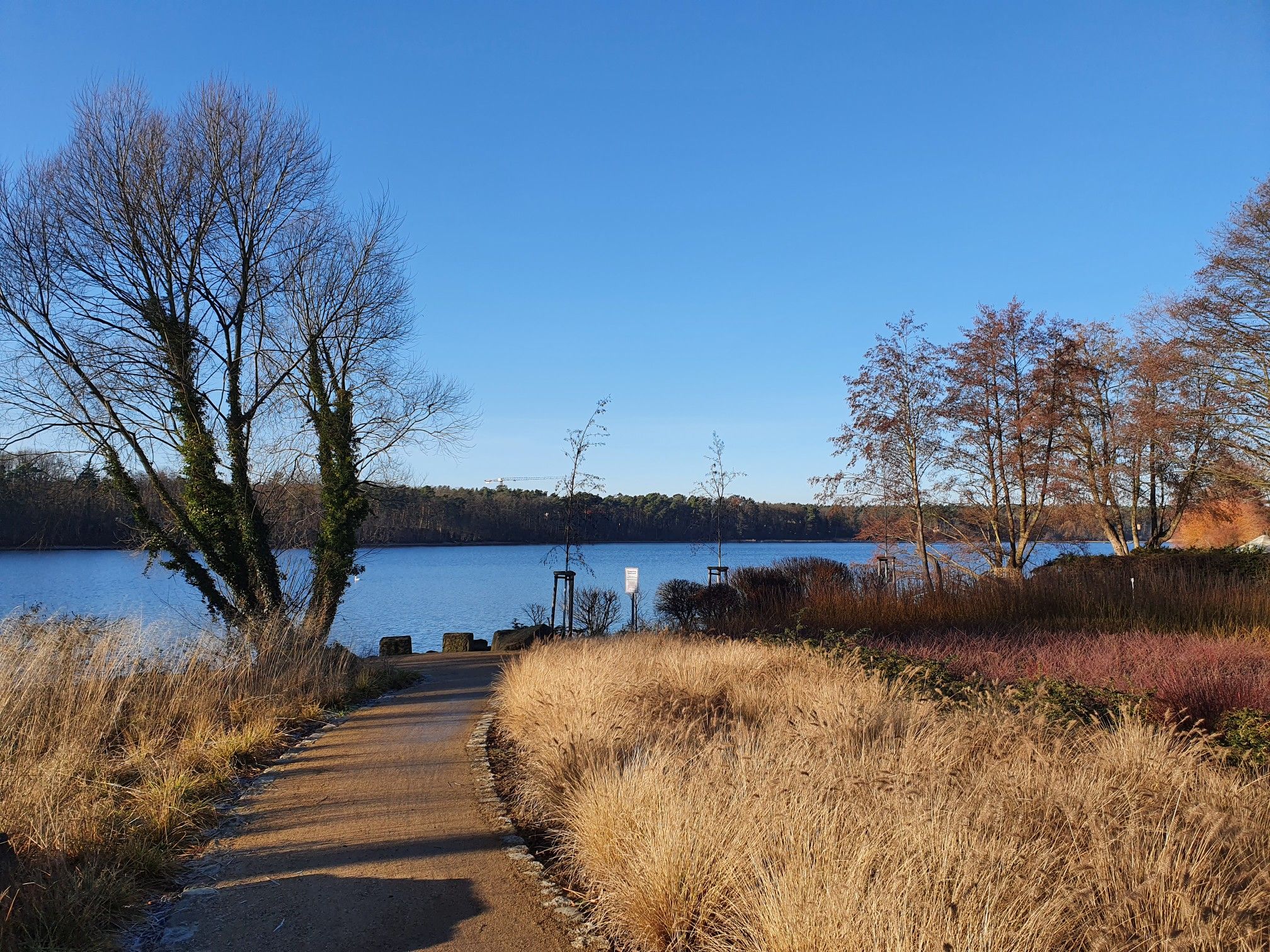 Blick auf den Straussee